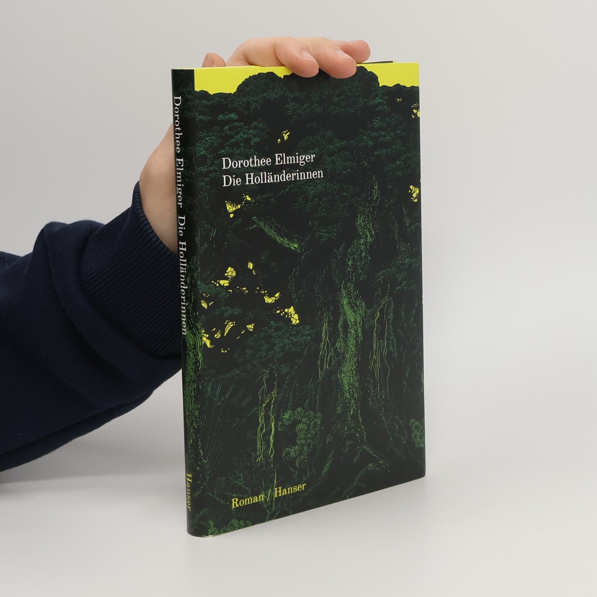 Dorothee Elmiger Die Holländerinnen