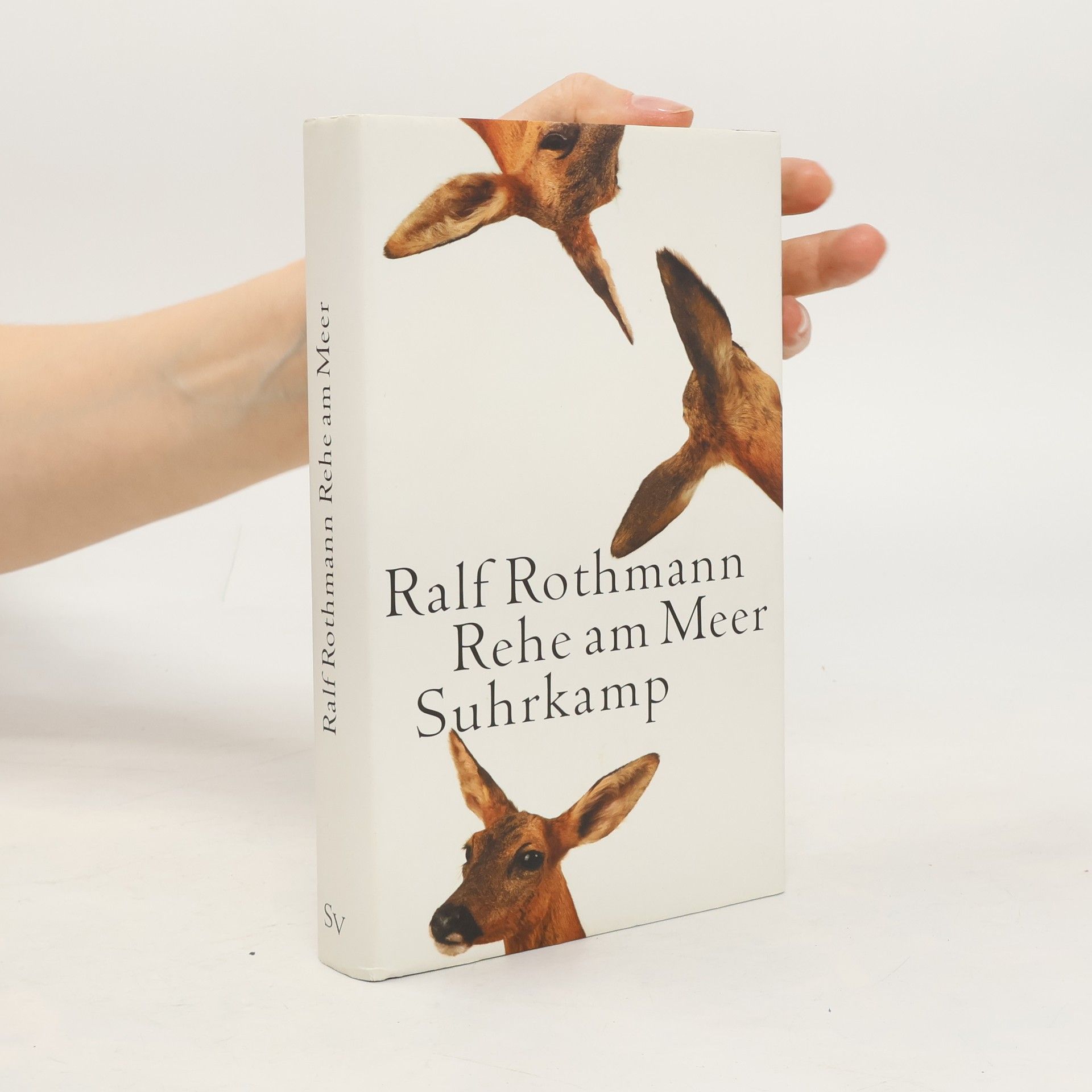 Rehe am Meer Suhrkamp