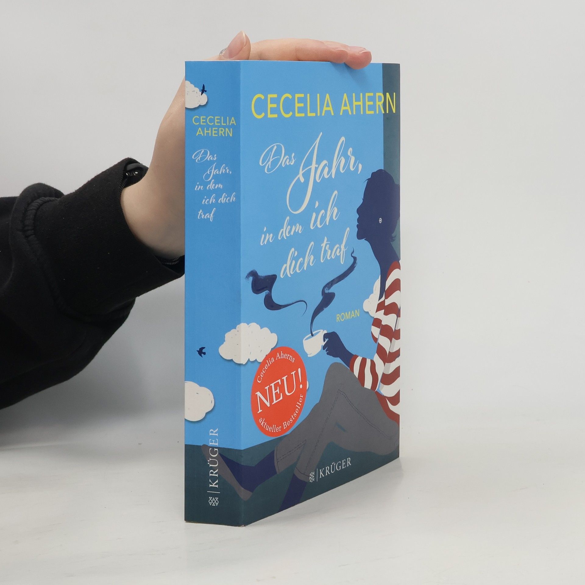 Cecelia Ahern Das Jahr, in dem ich dich traf