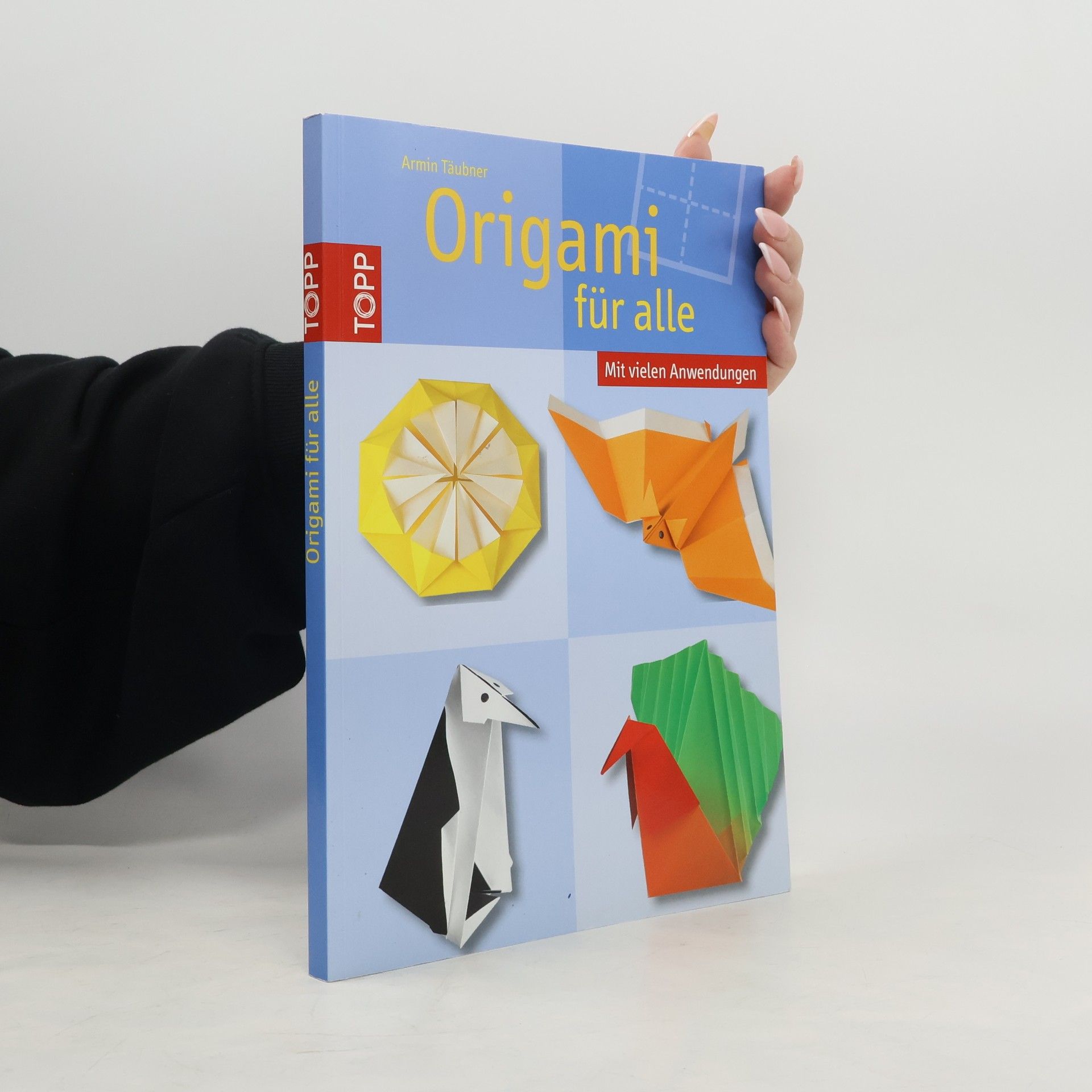 Daniel Täubner Origami für alle
