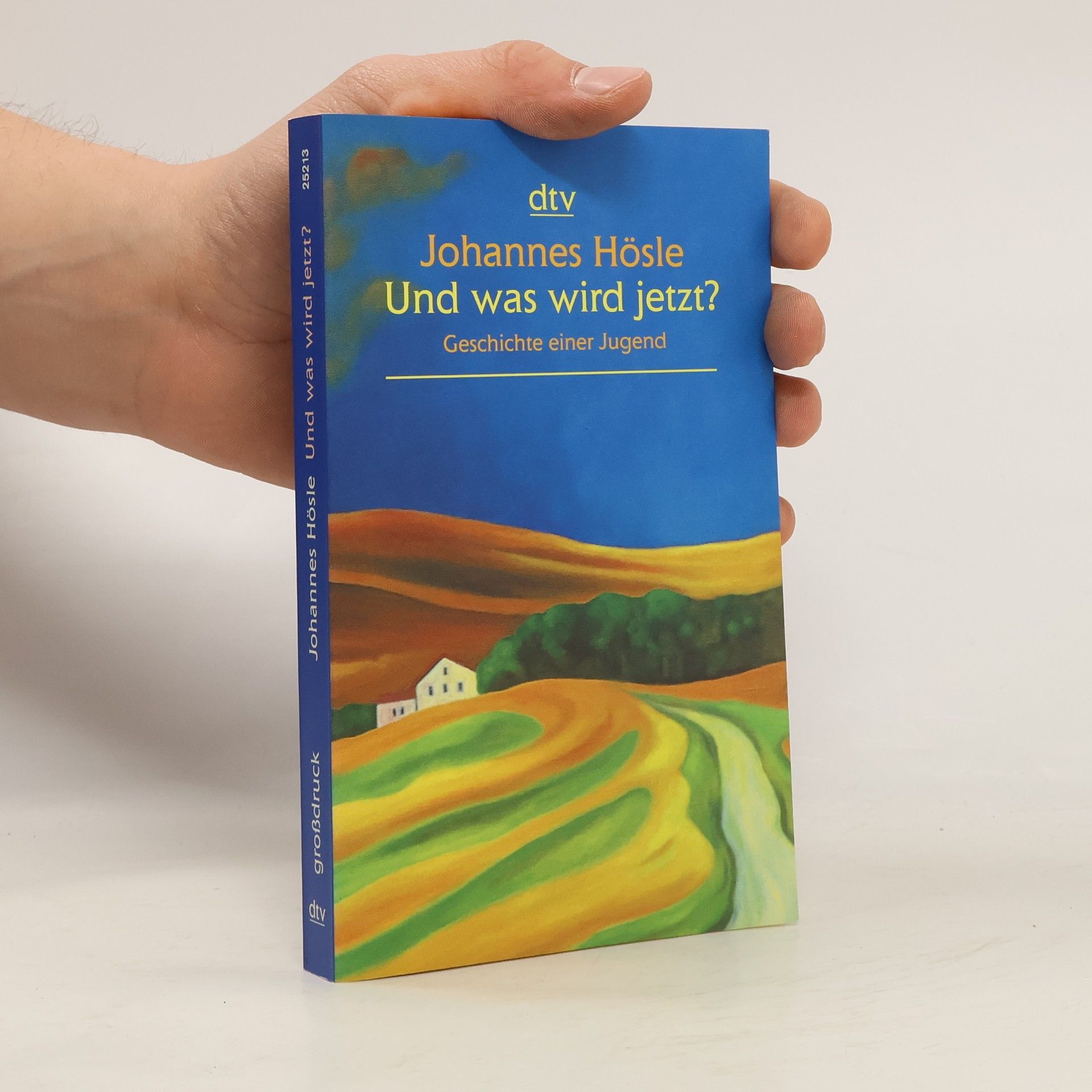 Johannes Hösle Und was wird jetzt?