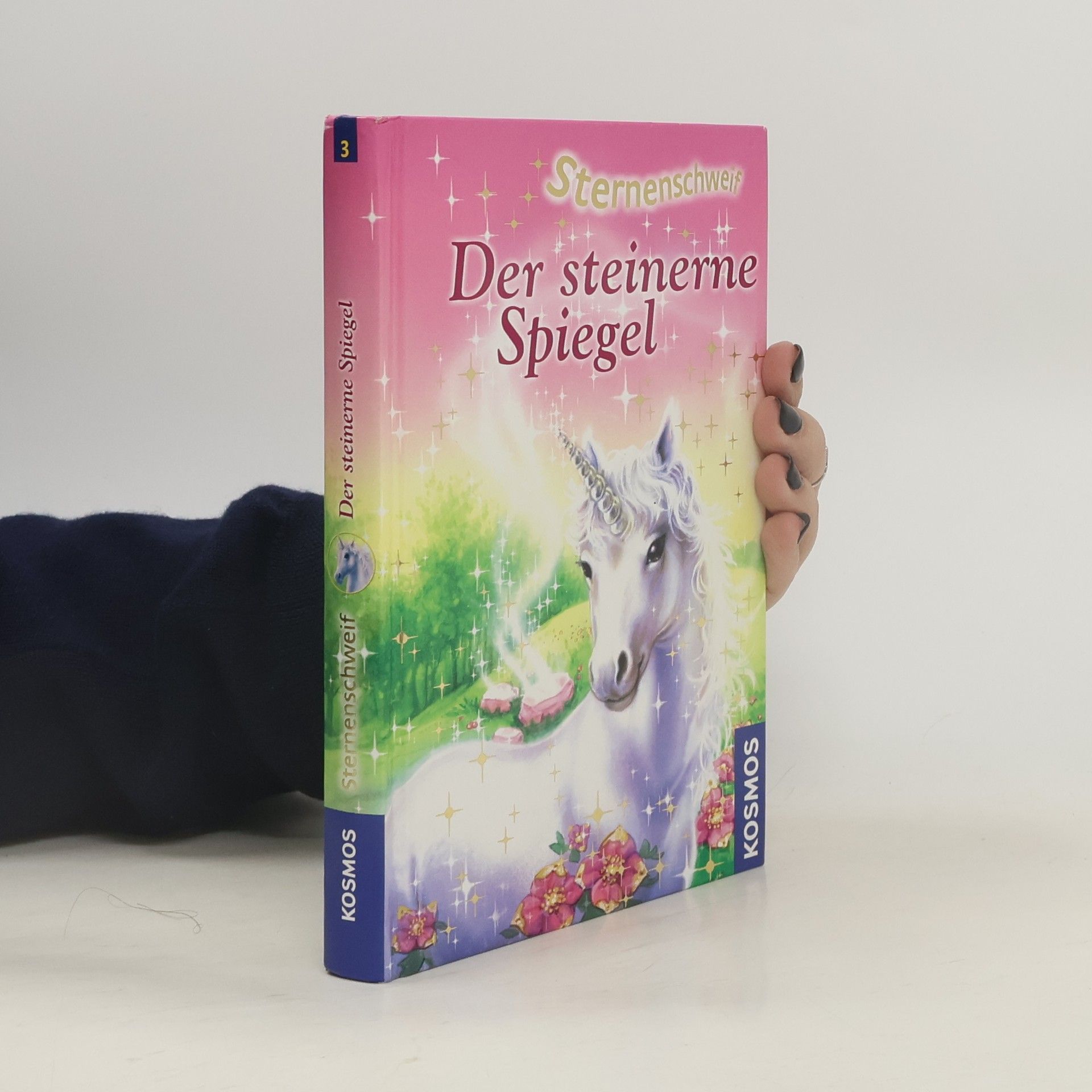 Linda Chapman Sternenschweif: Der steinerne Spiegel