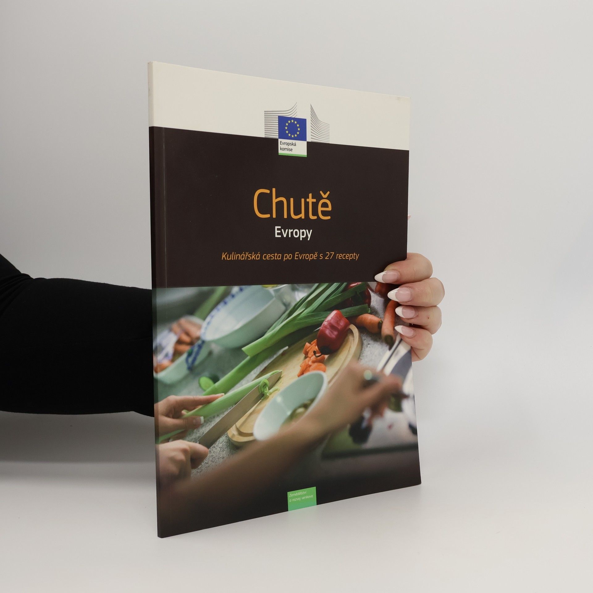 Collectif d'auteurs Chutě Evropy. Kulinářská cesta po Evropě s 27 recepty