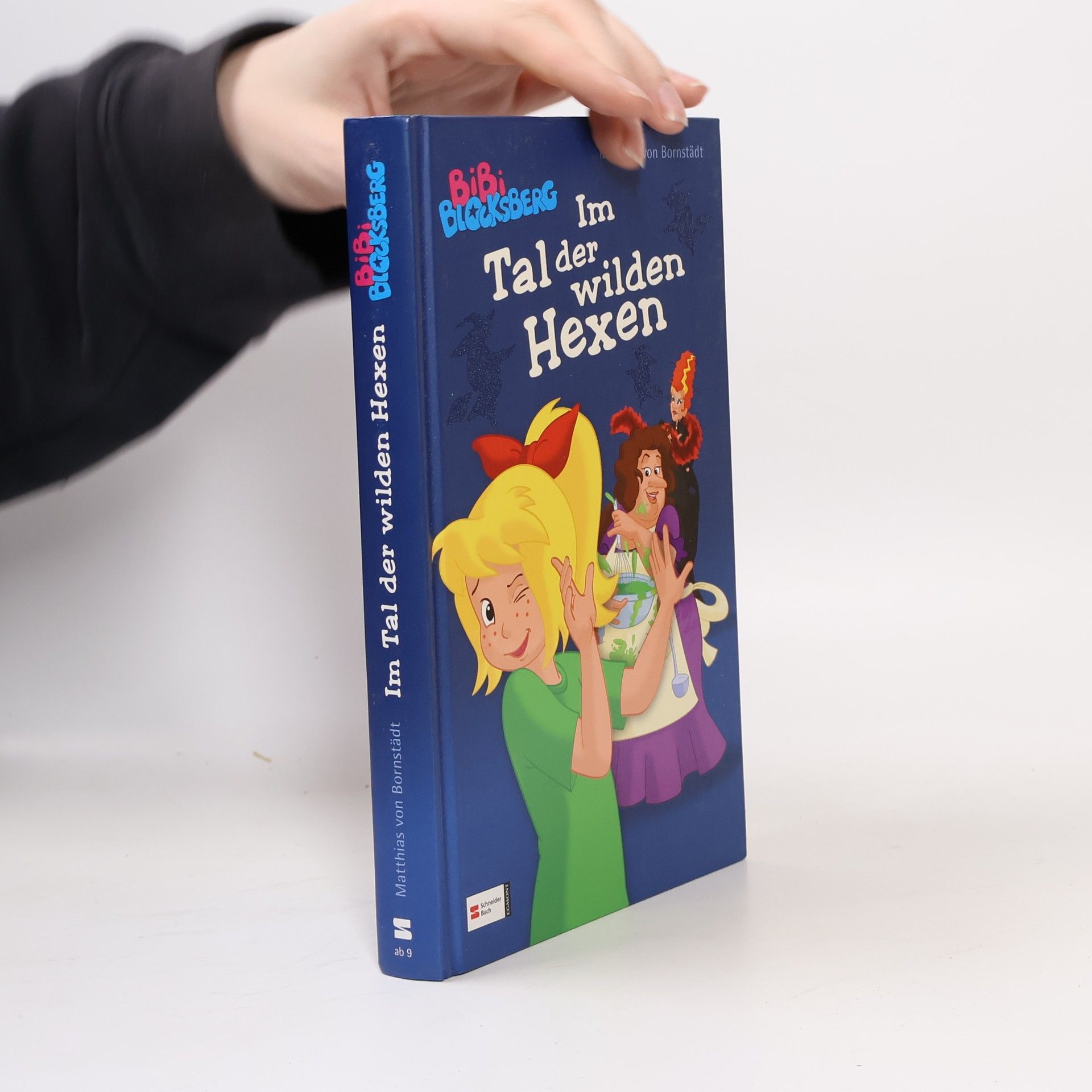 Matthias von Bornstädt Bibi Blocksberg - Im Tal der wilden Hexen