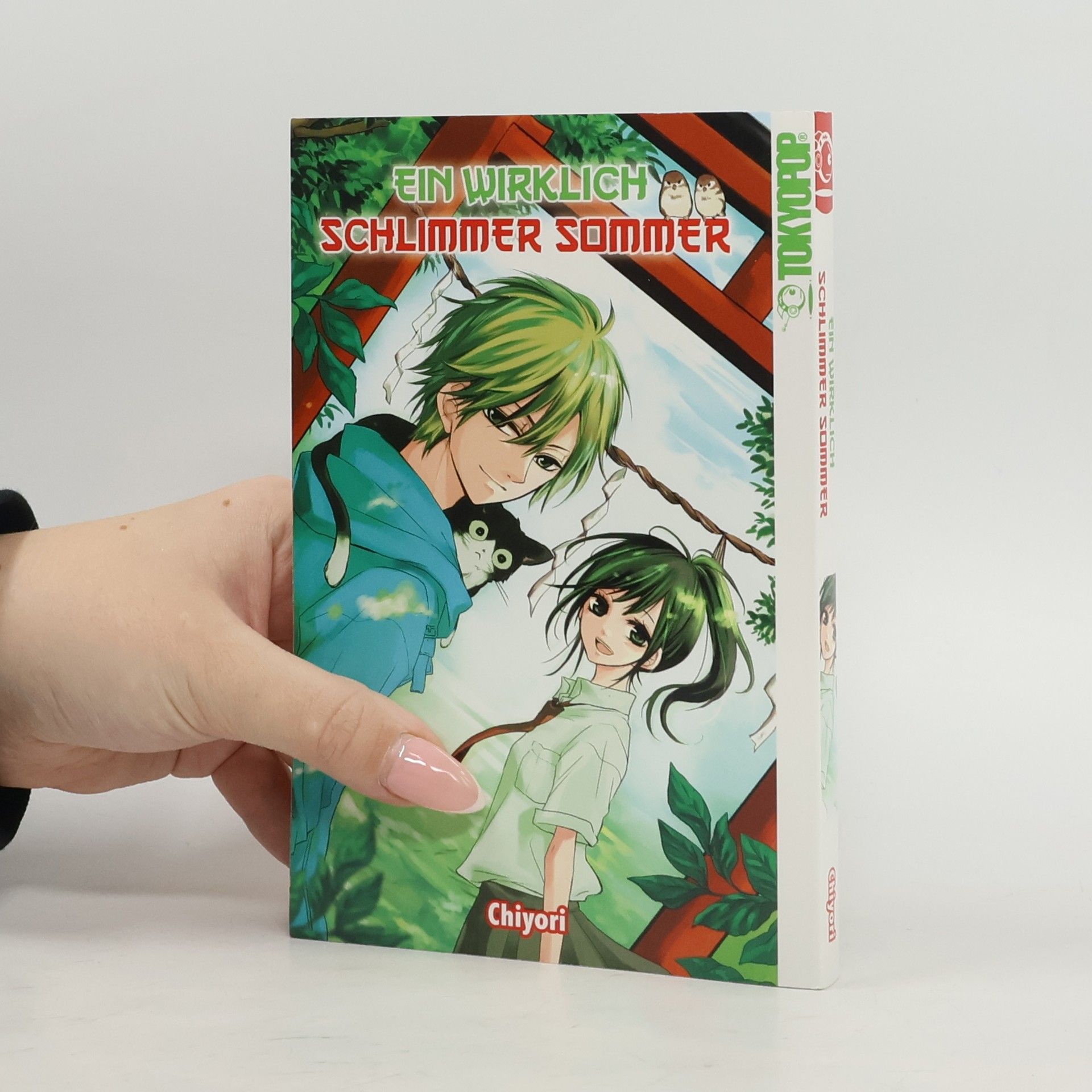 Chiyori Ein wirklich schlimmer Sommer