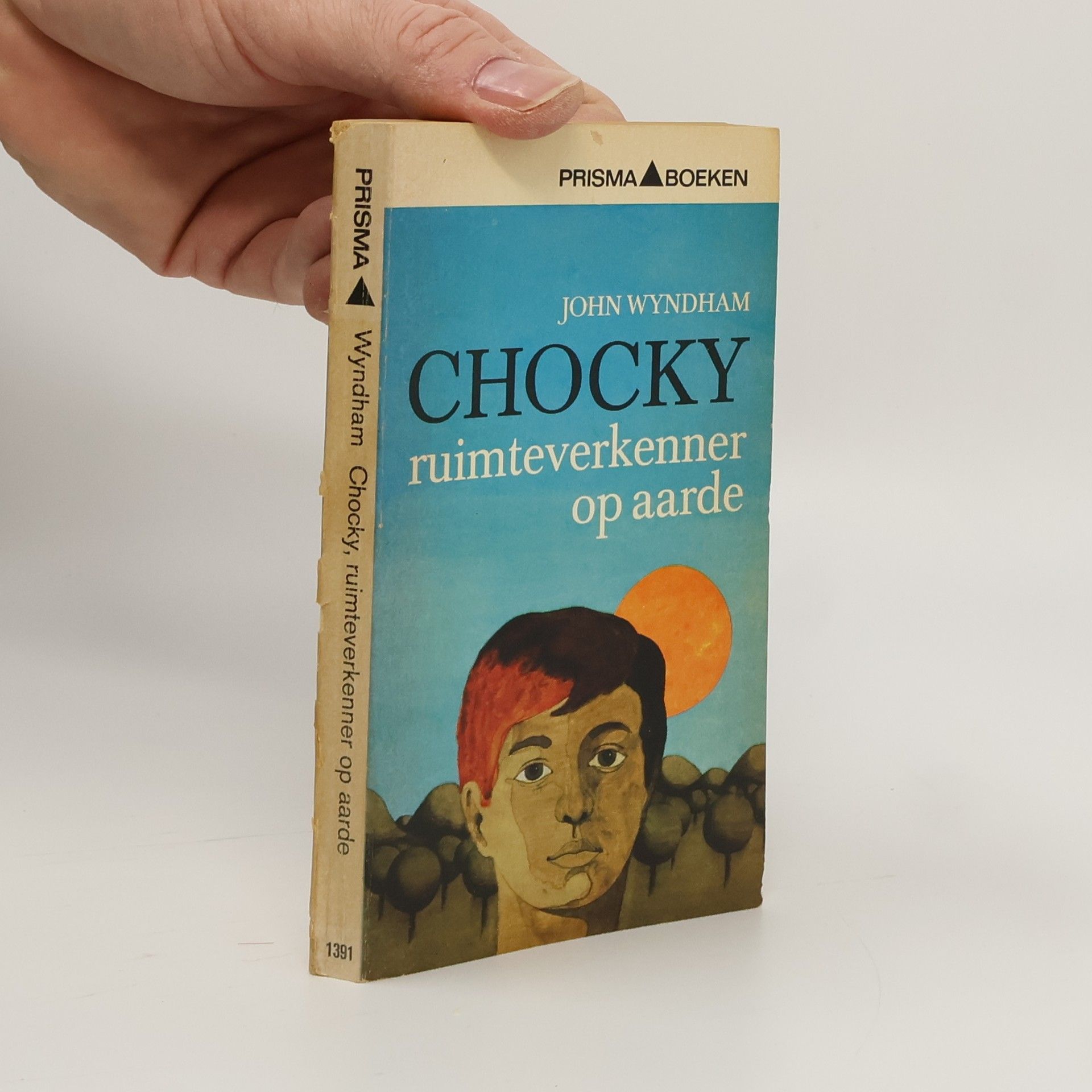 Chocky, ruimteverkenner op aarde