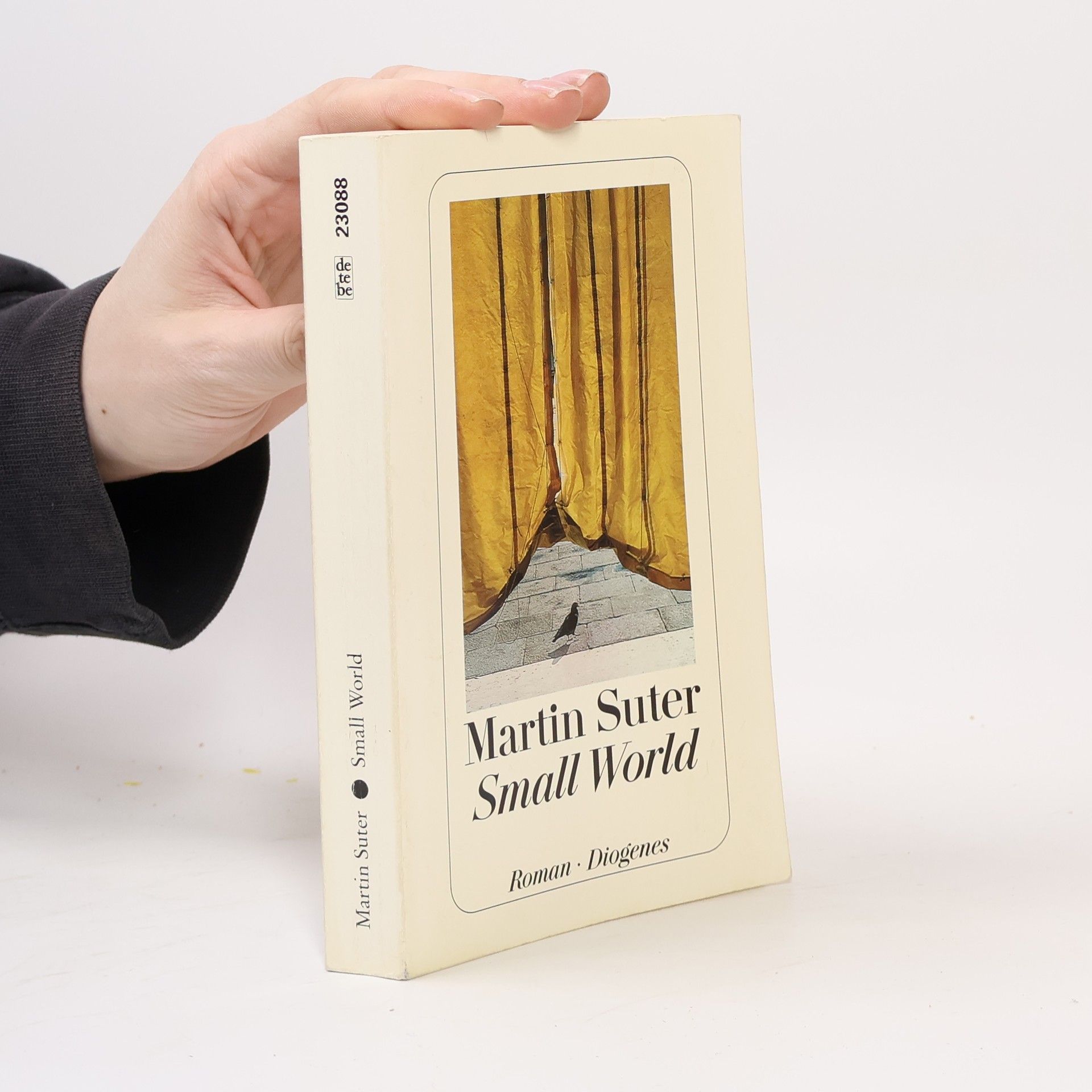 Martin Suter Small World