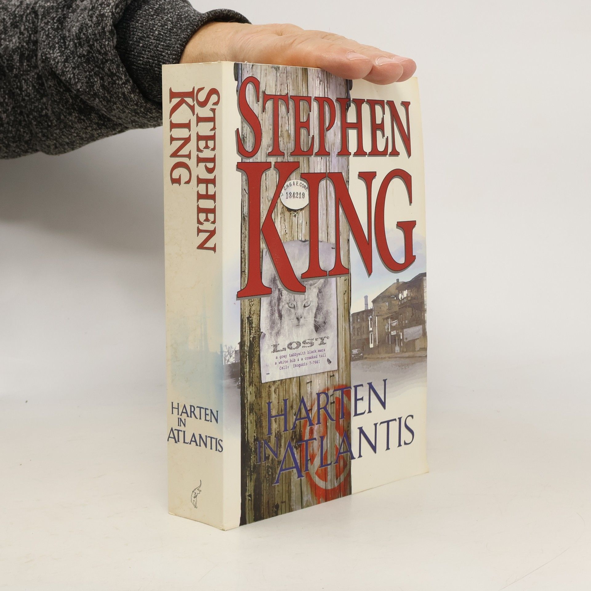 Nienke Kuipers Harten in Atlantis