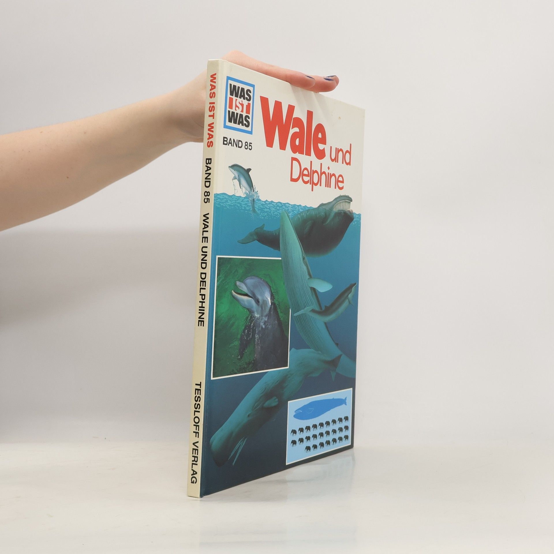 Petra Deimer-Schütte Was ist Was 85. Wale und Delphine