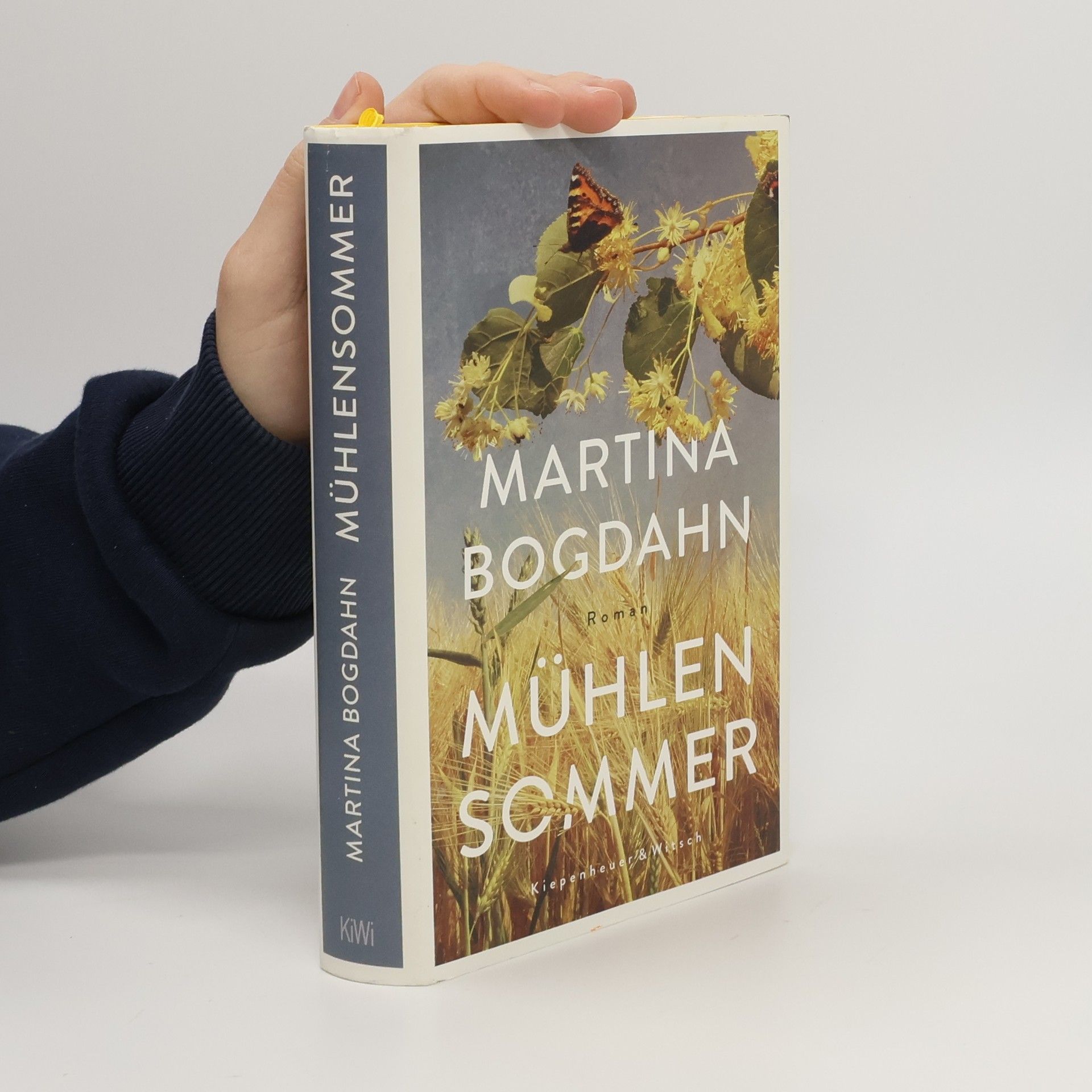 Martina Bogdahn Mühlensommer