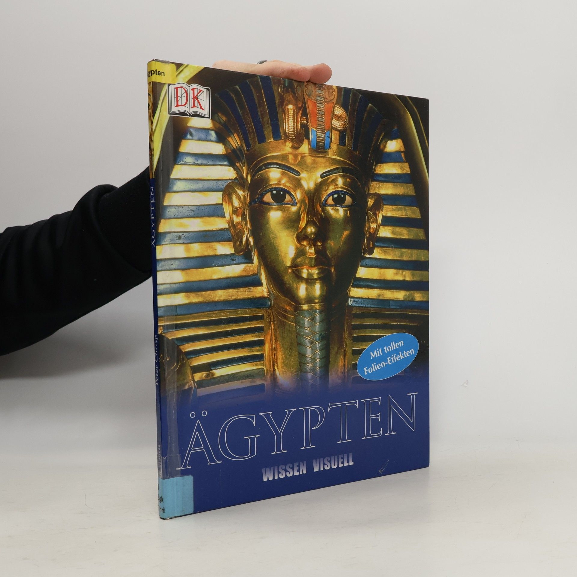 Peter Chrisp Wissen visuell: Ägypten