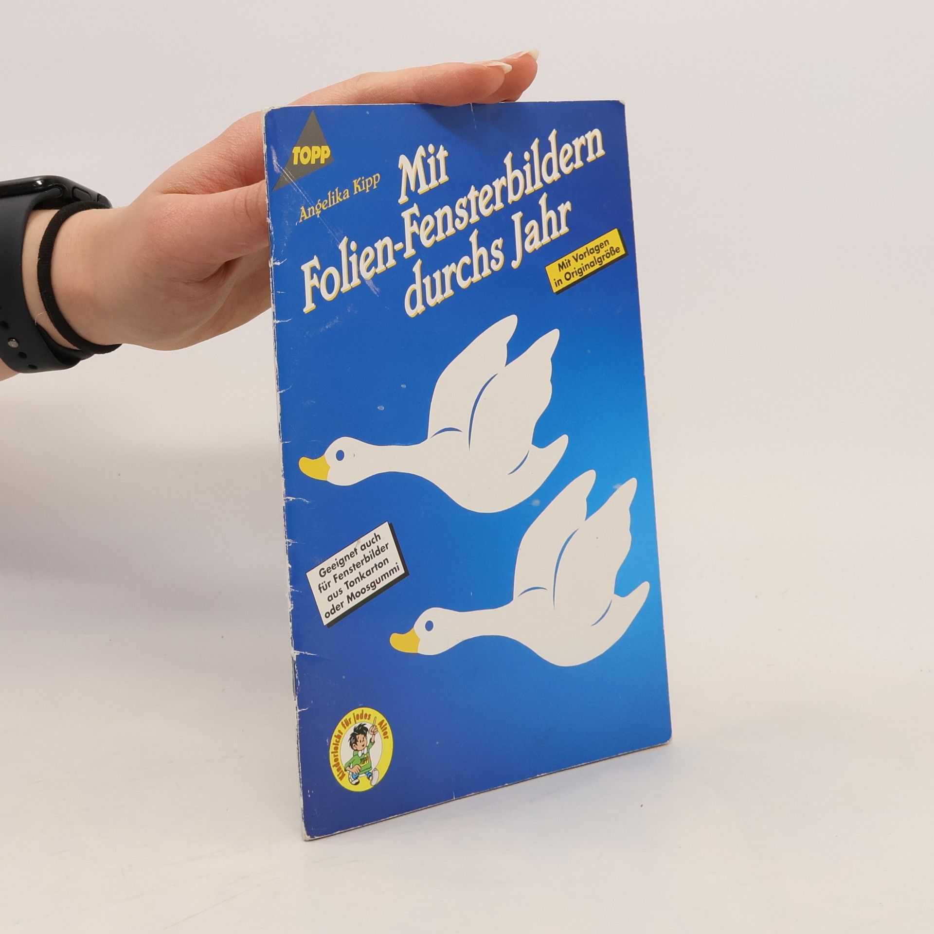 Autorenkollektiv Mit Folien-Fensterbildern durchs Jahr