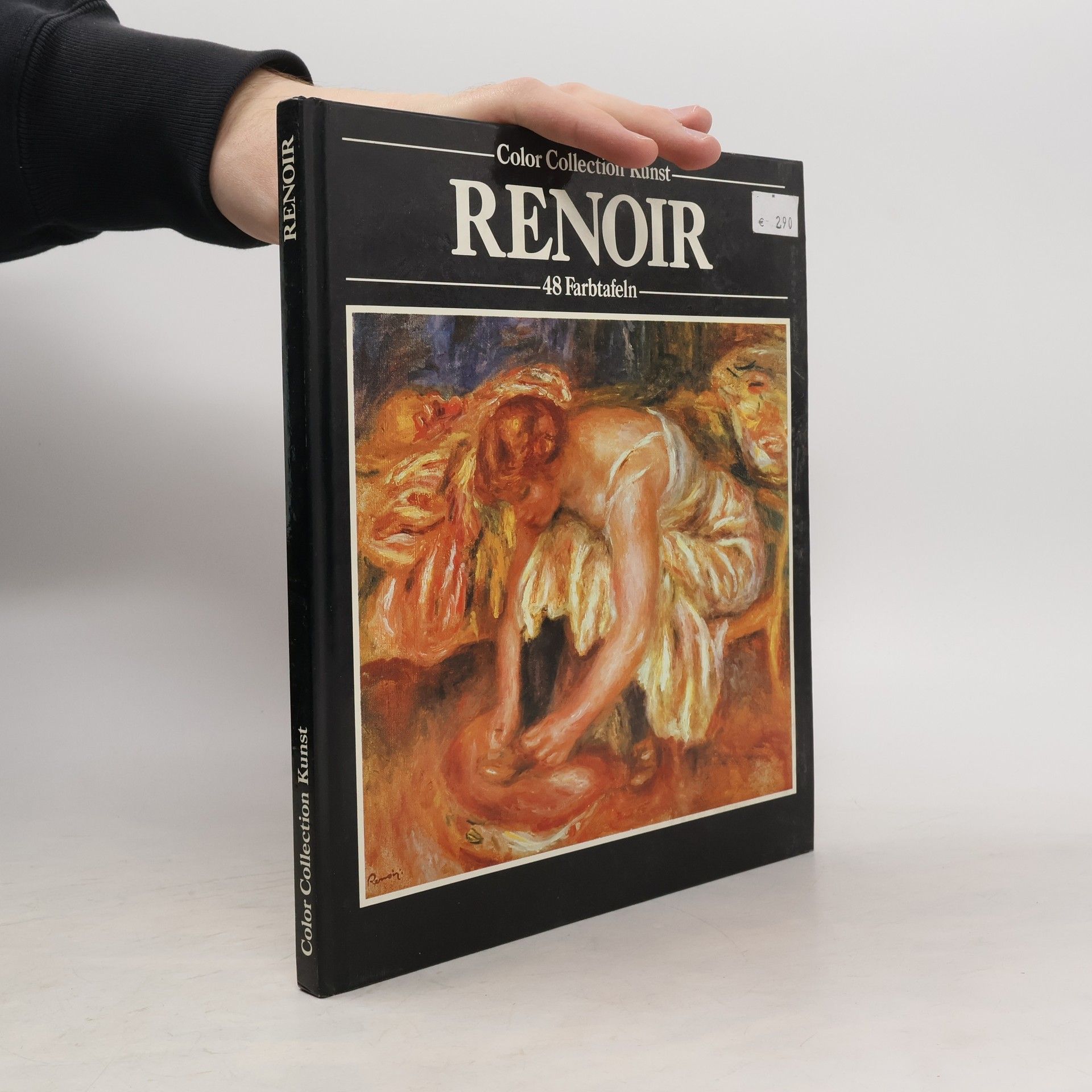 Kolektiv autorů Renoir. 48 Farbtafeln