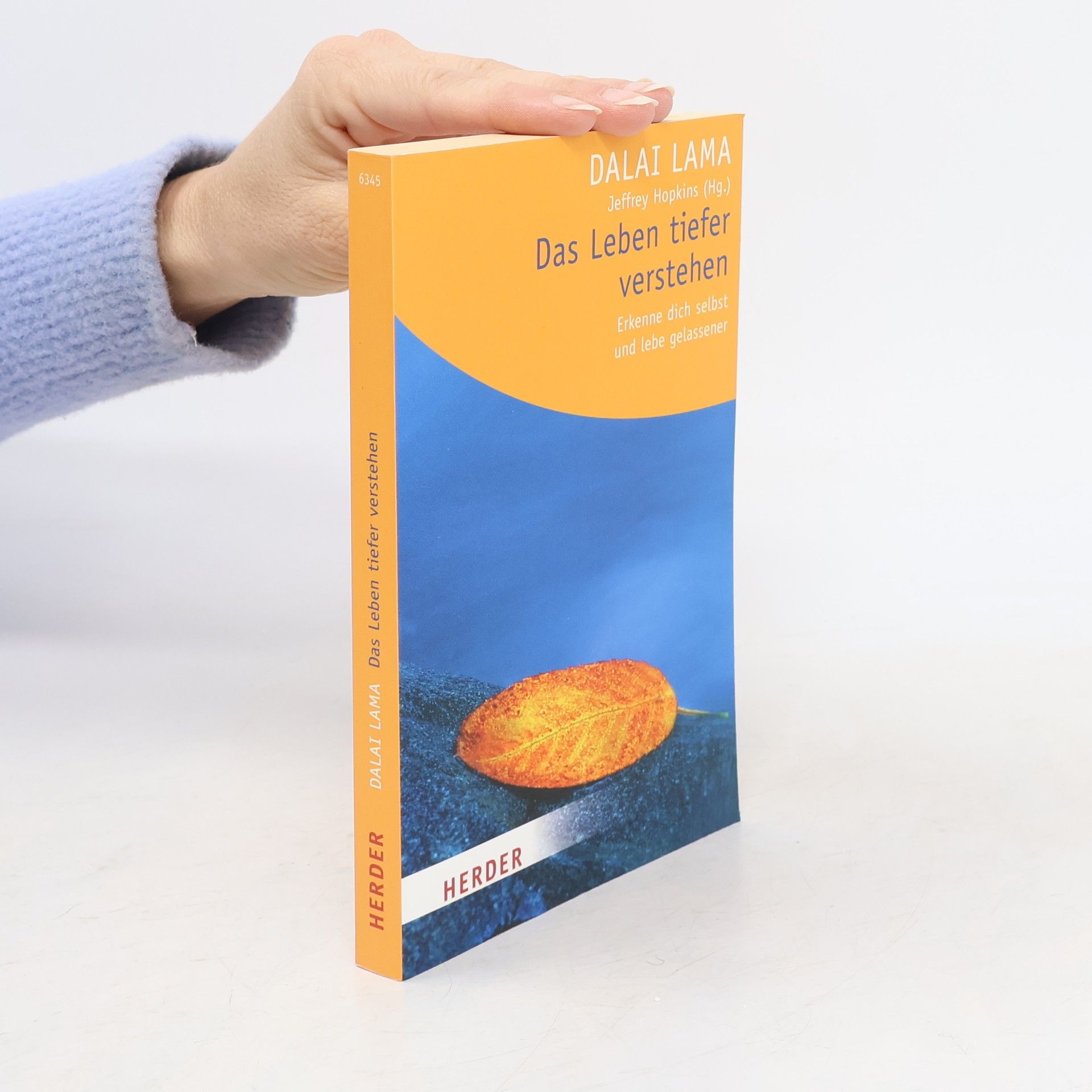 Dalai Lama XIV Bstan-ʼdzin-rgya-mtsho Das Leben tiefer verstehen