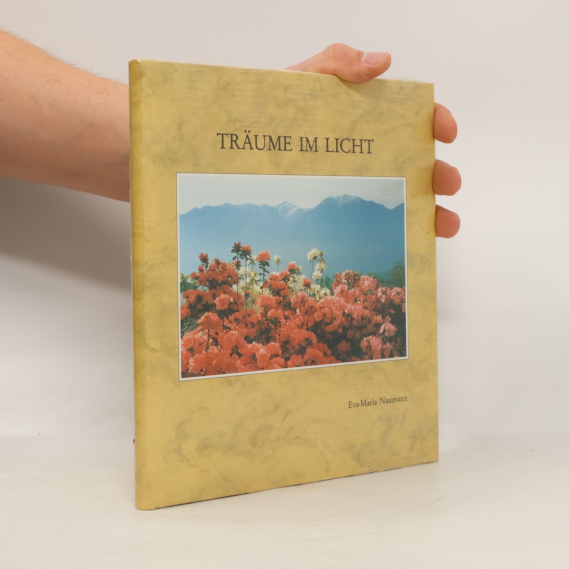 Eva-Maria Naumann Träume im Licht