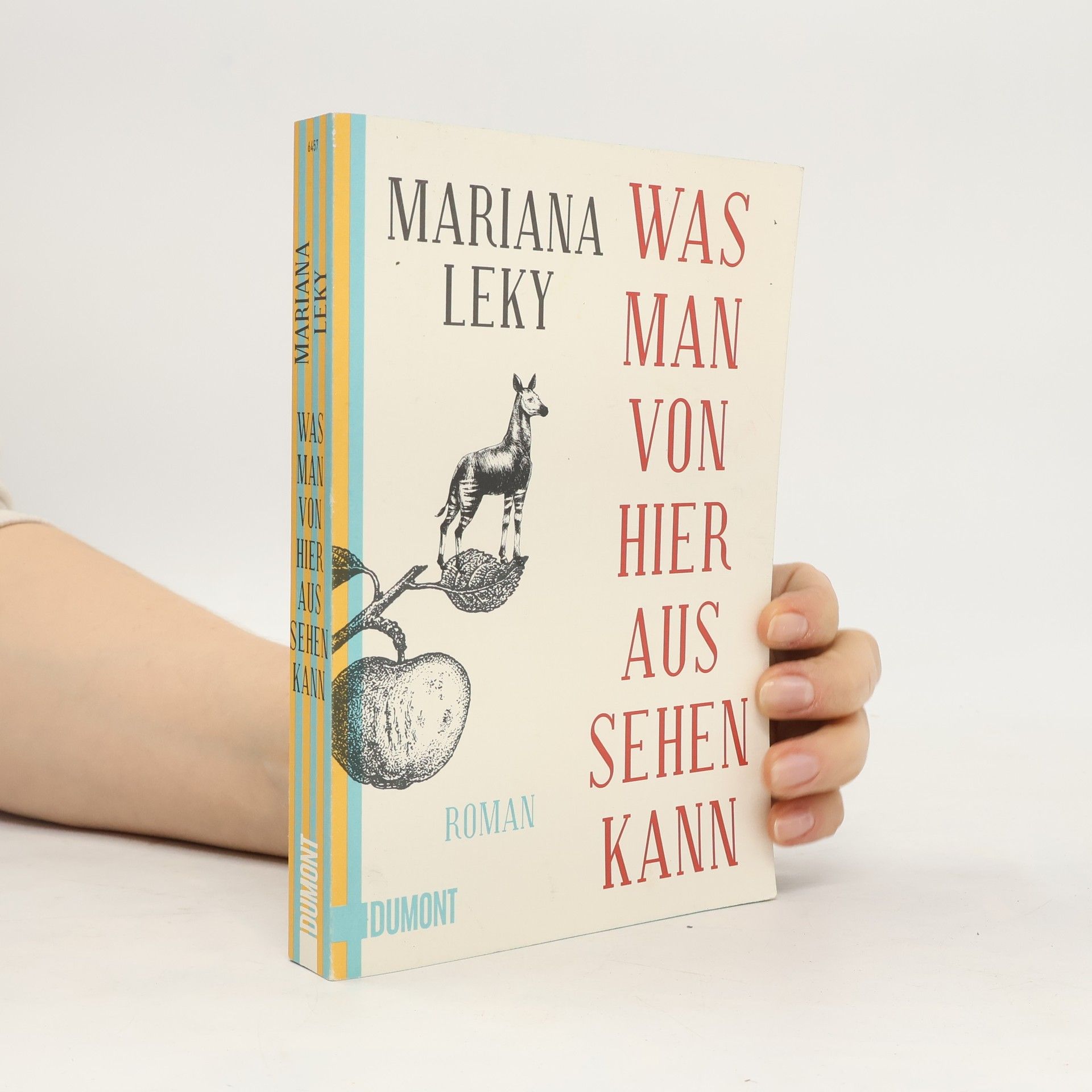 Mariana Leky Was man von hier aus sehen kann