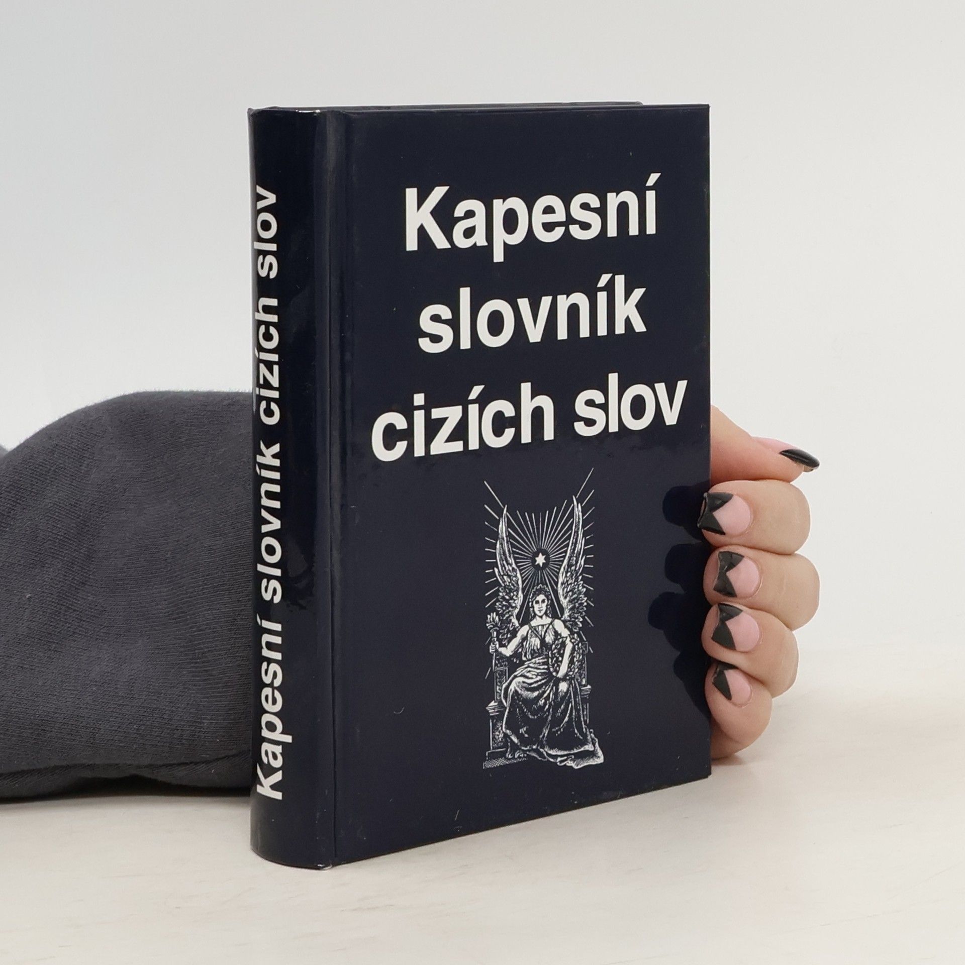 Auteurscollectief Kapesní slovník cizích slov