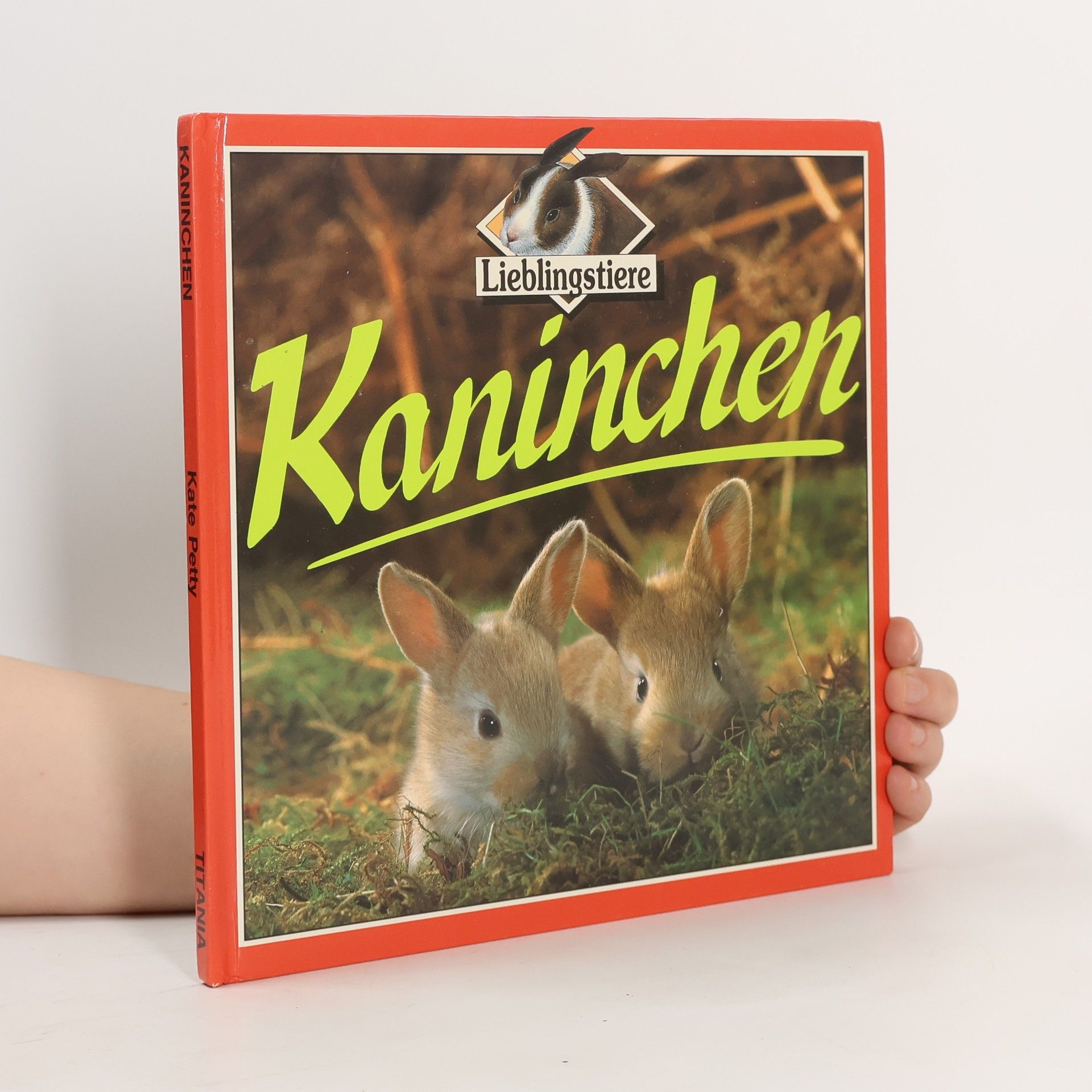 Kate Petty Kaninchen