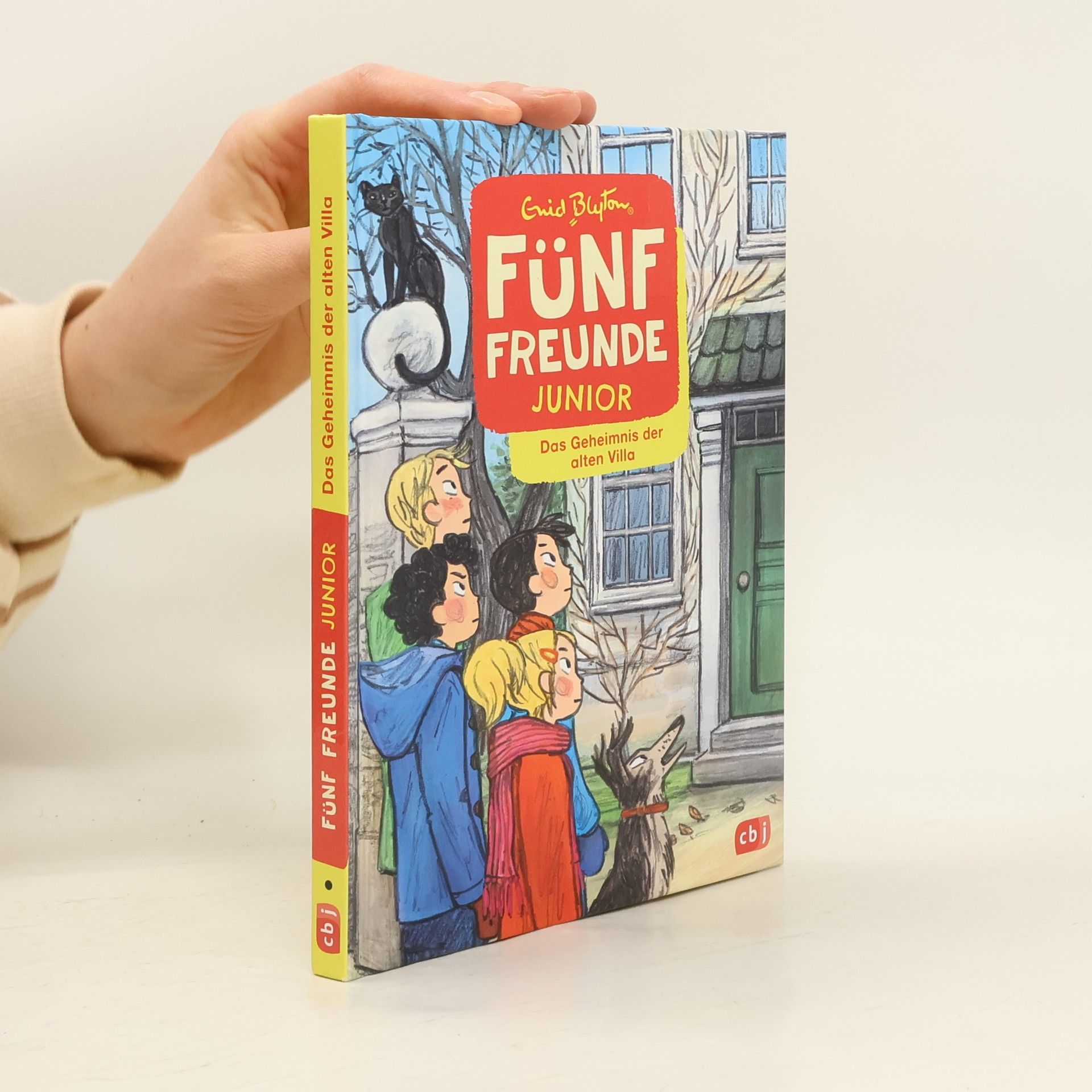 Enid Blyton Fünf Freunde JUNIOR. Das Geheimnis der alten Villa
