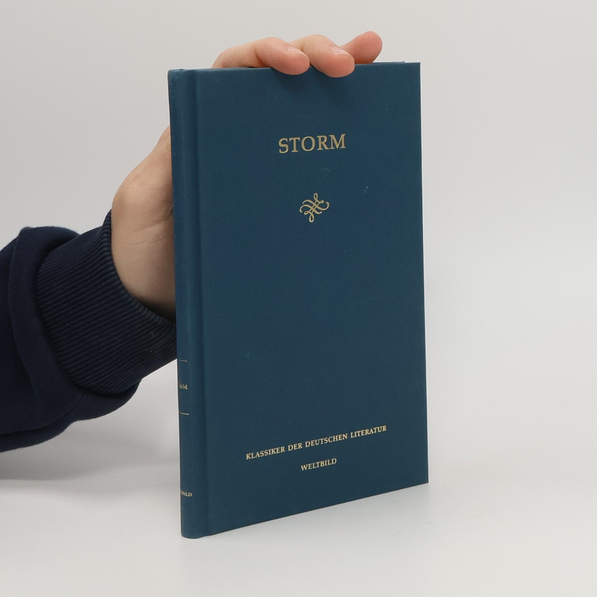 AA.VV. Theodor Storm