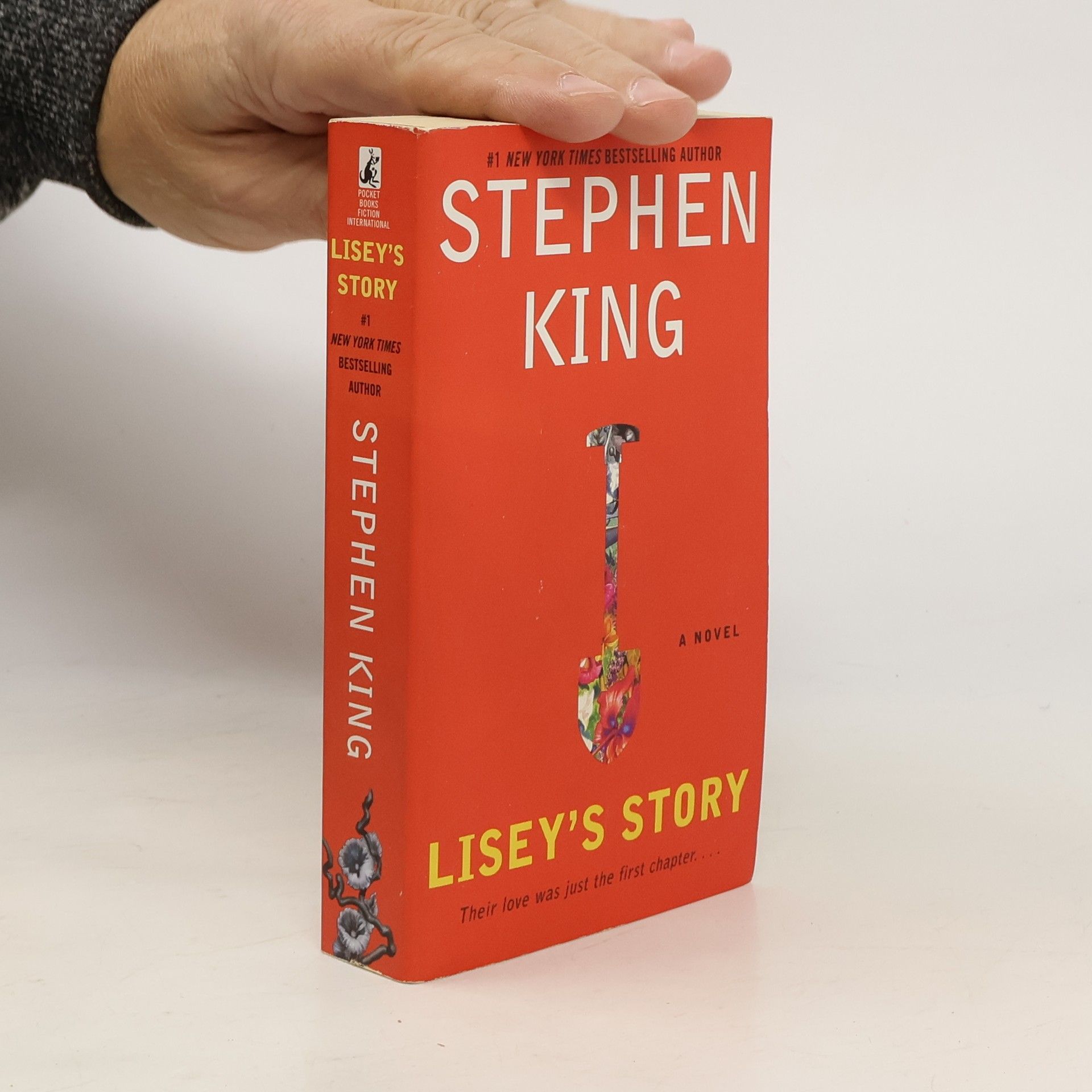Stephen King Lisey's Story