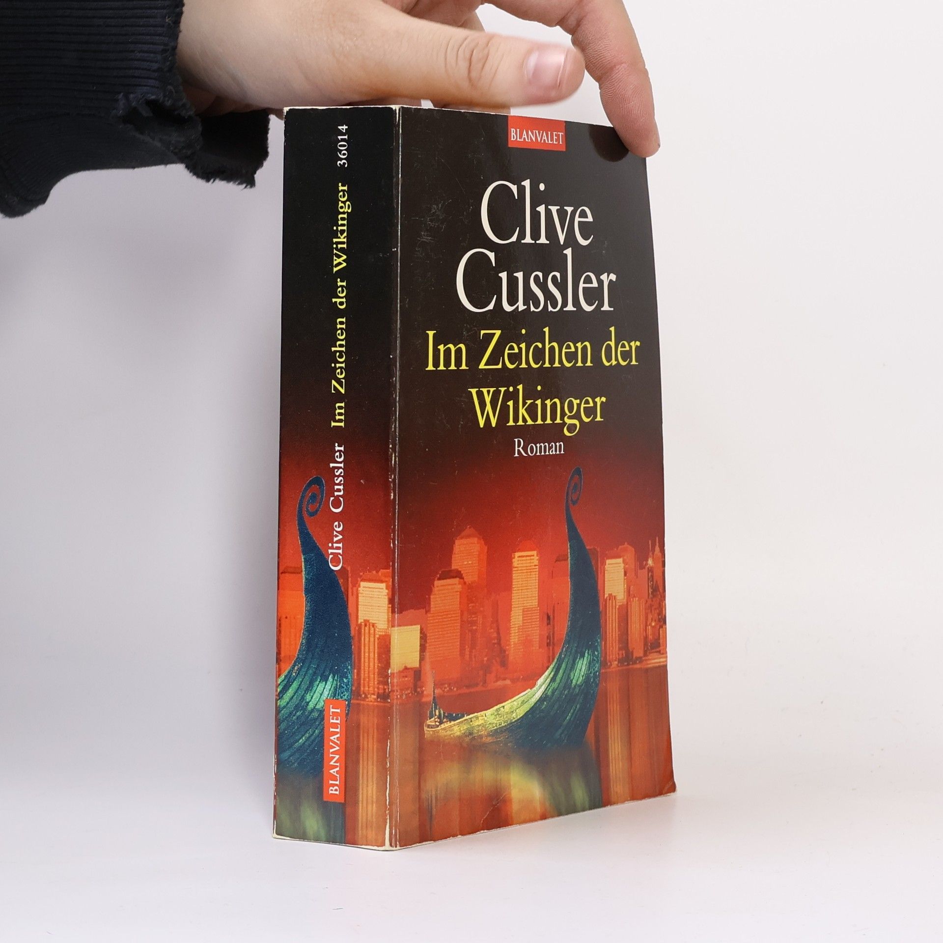 Im Zeichen der Wikinger