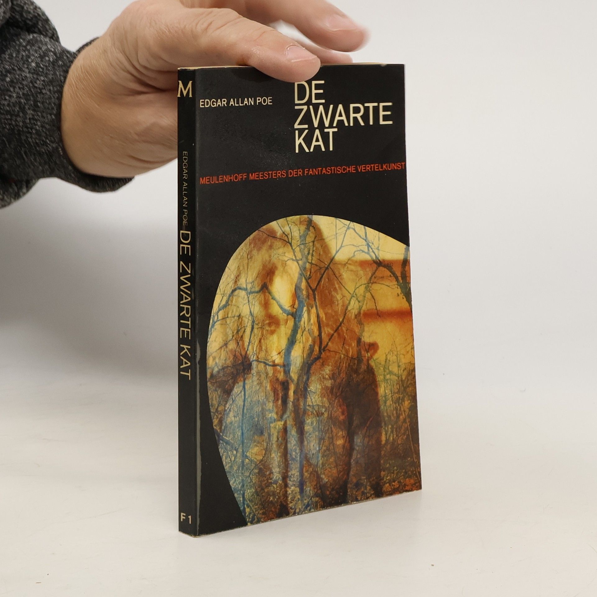 Edgar Allan Poe De zwarte kat