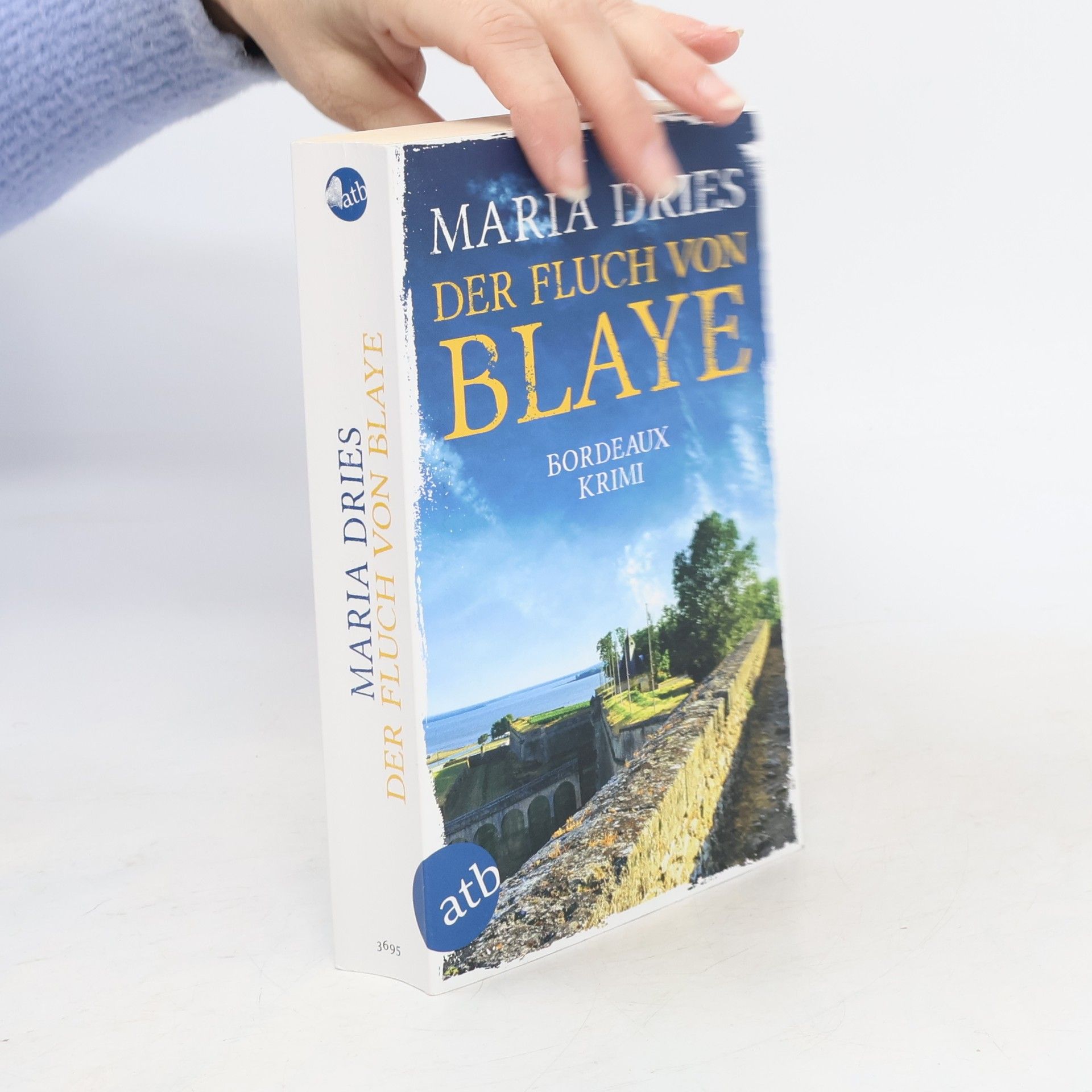 Maria Dries Der Fluch von Blaye