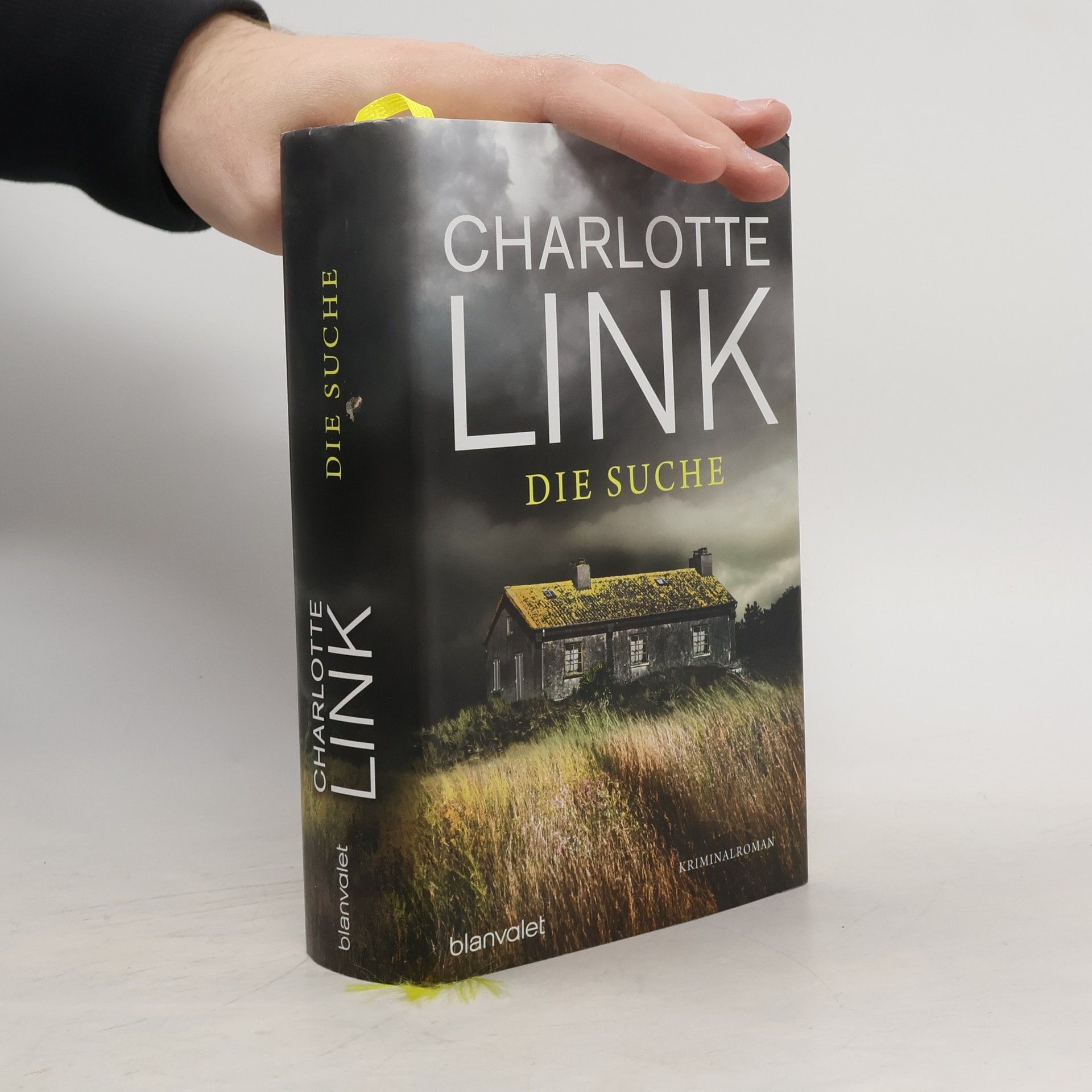 Charlotte Link Die Suche