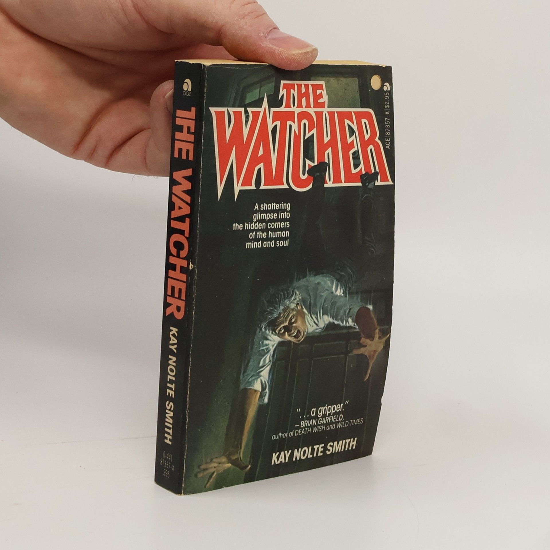 Kay Nolte Smith The Watcher