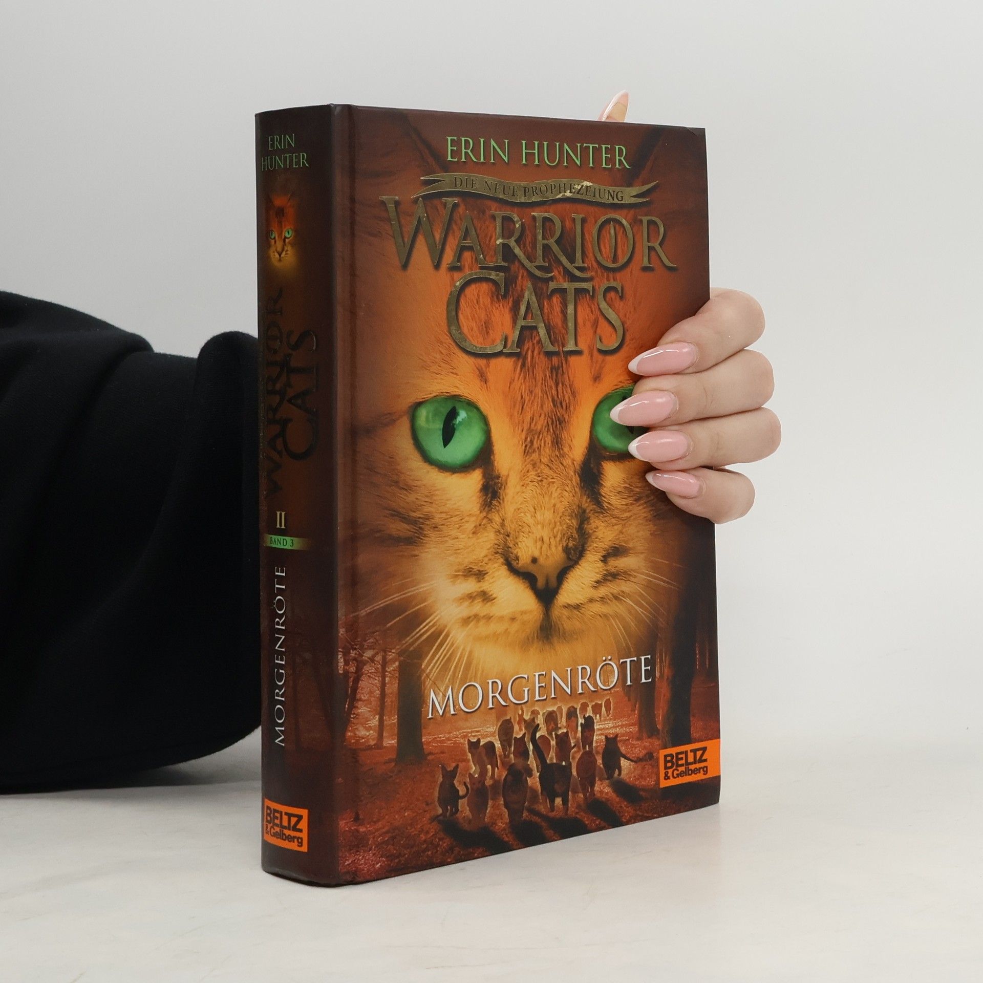 Erin Hunter Warrior Cats - Morgenröte