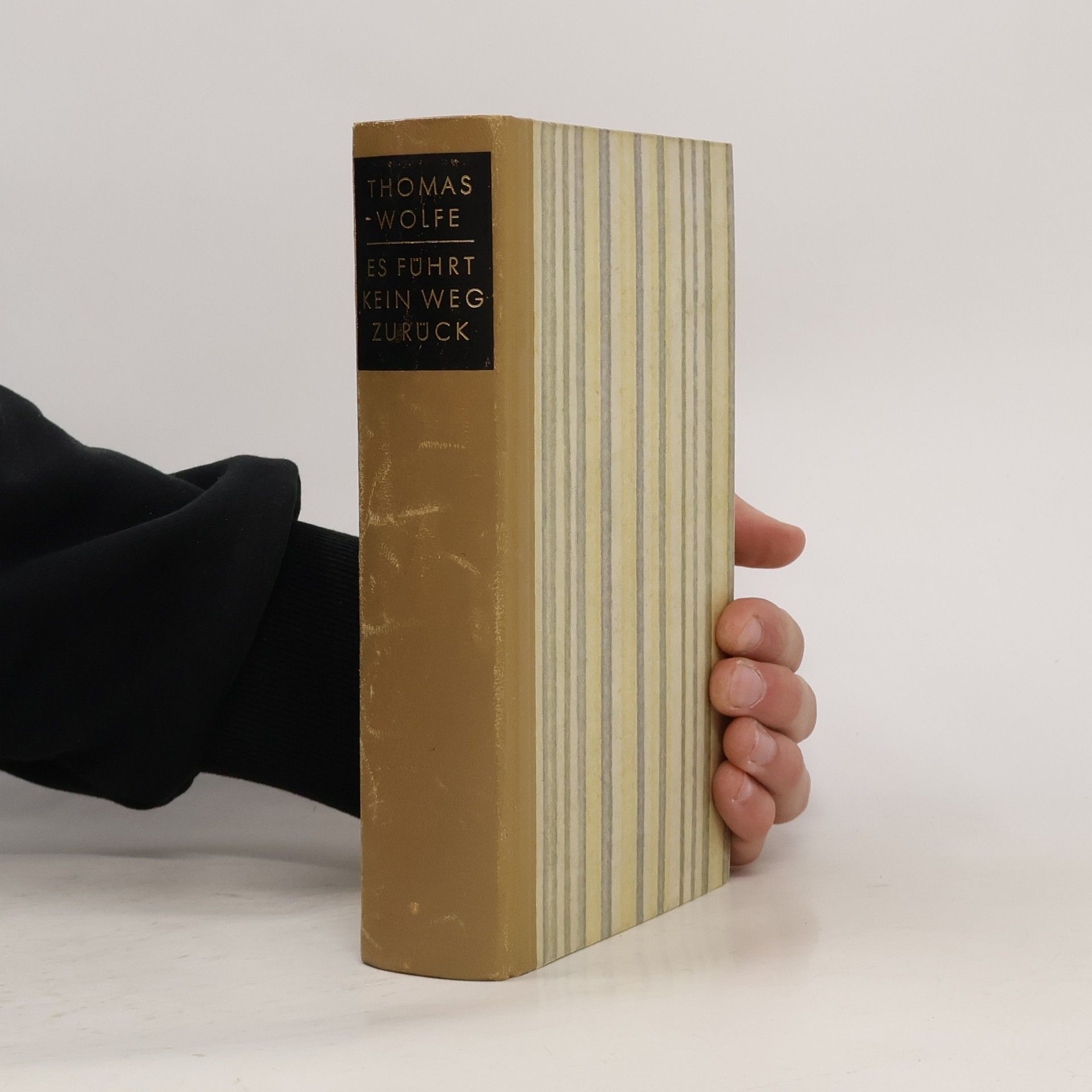 Thomas Wolfe Es führt kein Weg zurück