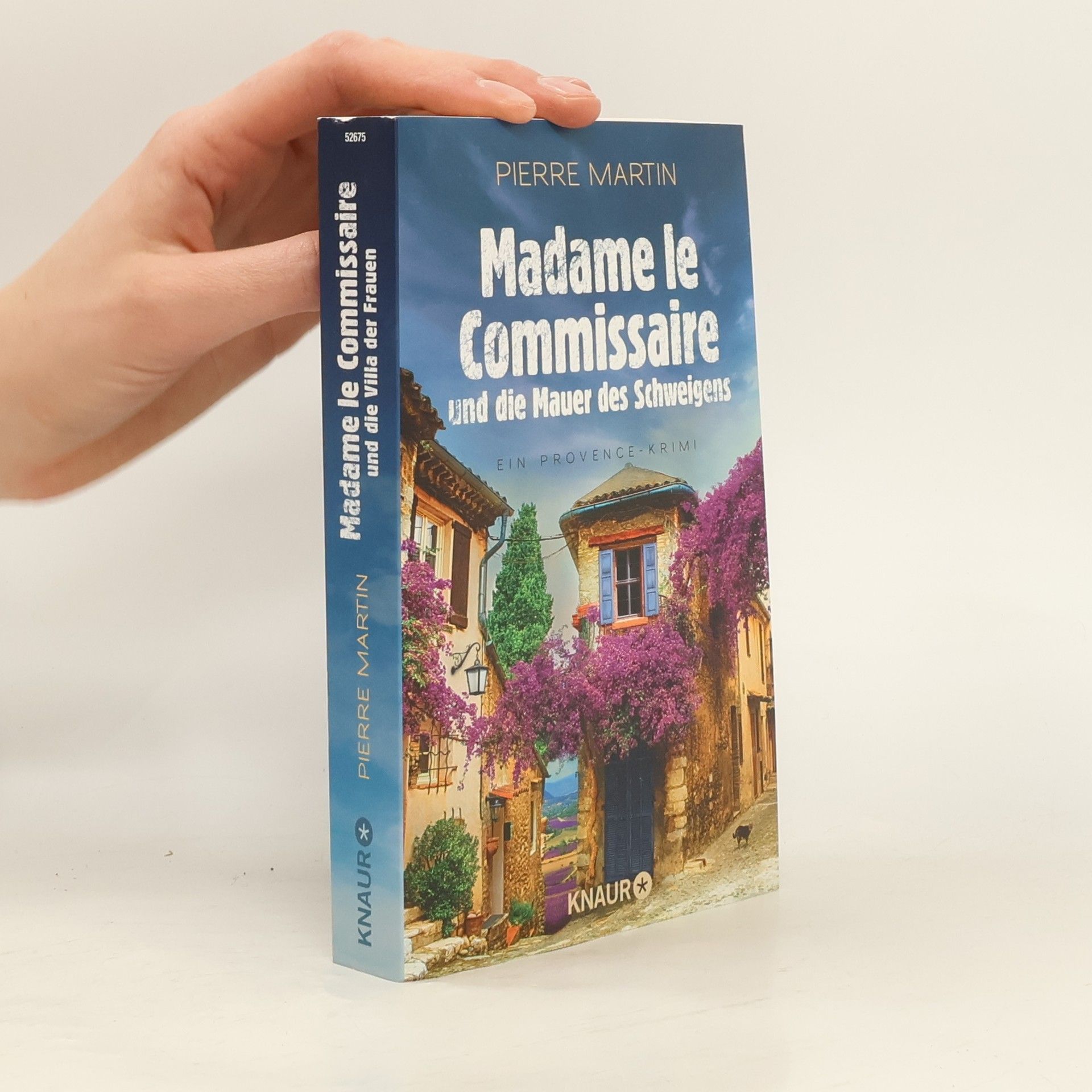 Pierre Martin Madame le Commissaire und die Mauer des Schweigens