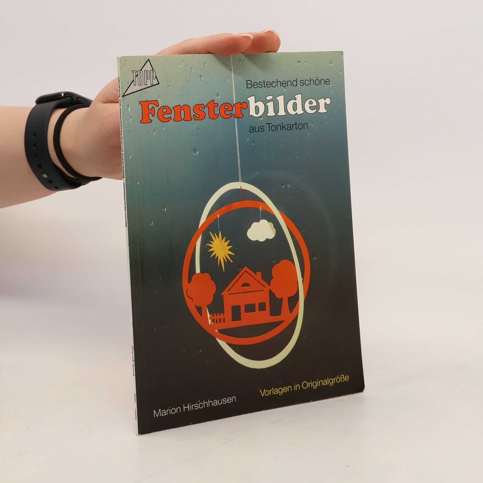 Autorenkollektiv Bestechend schöne Fensterbilder aus Tonkarton