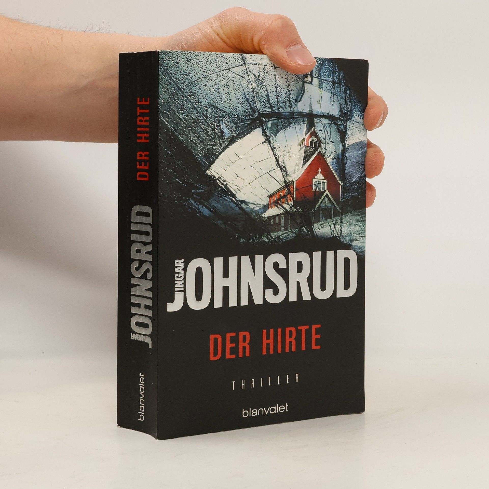 Ingar Johnsrud Der Hirte