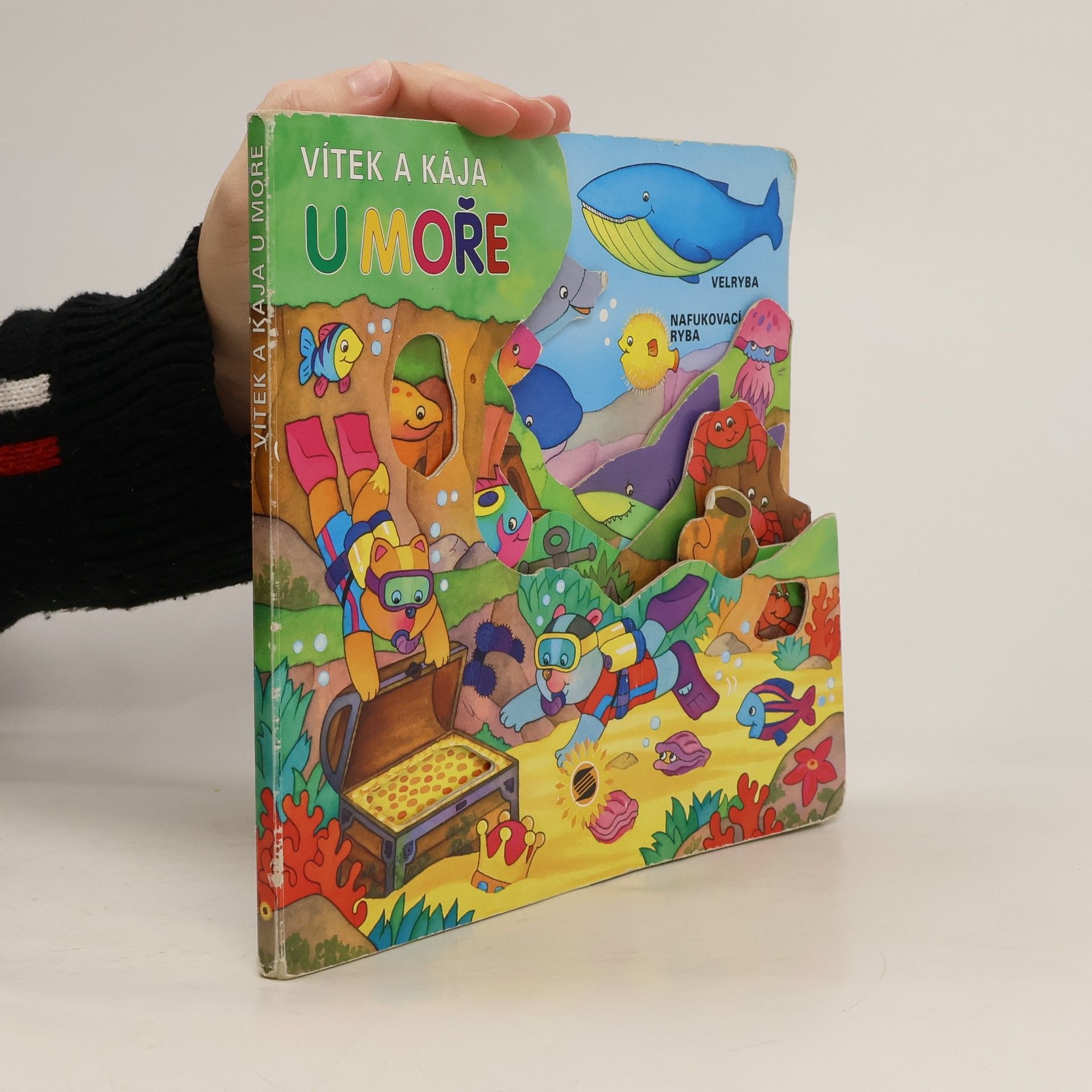 Kolektív autorov Vítek a Kája u moře