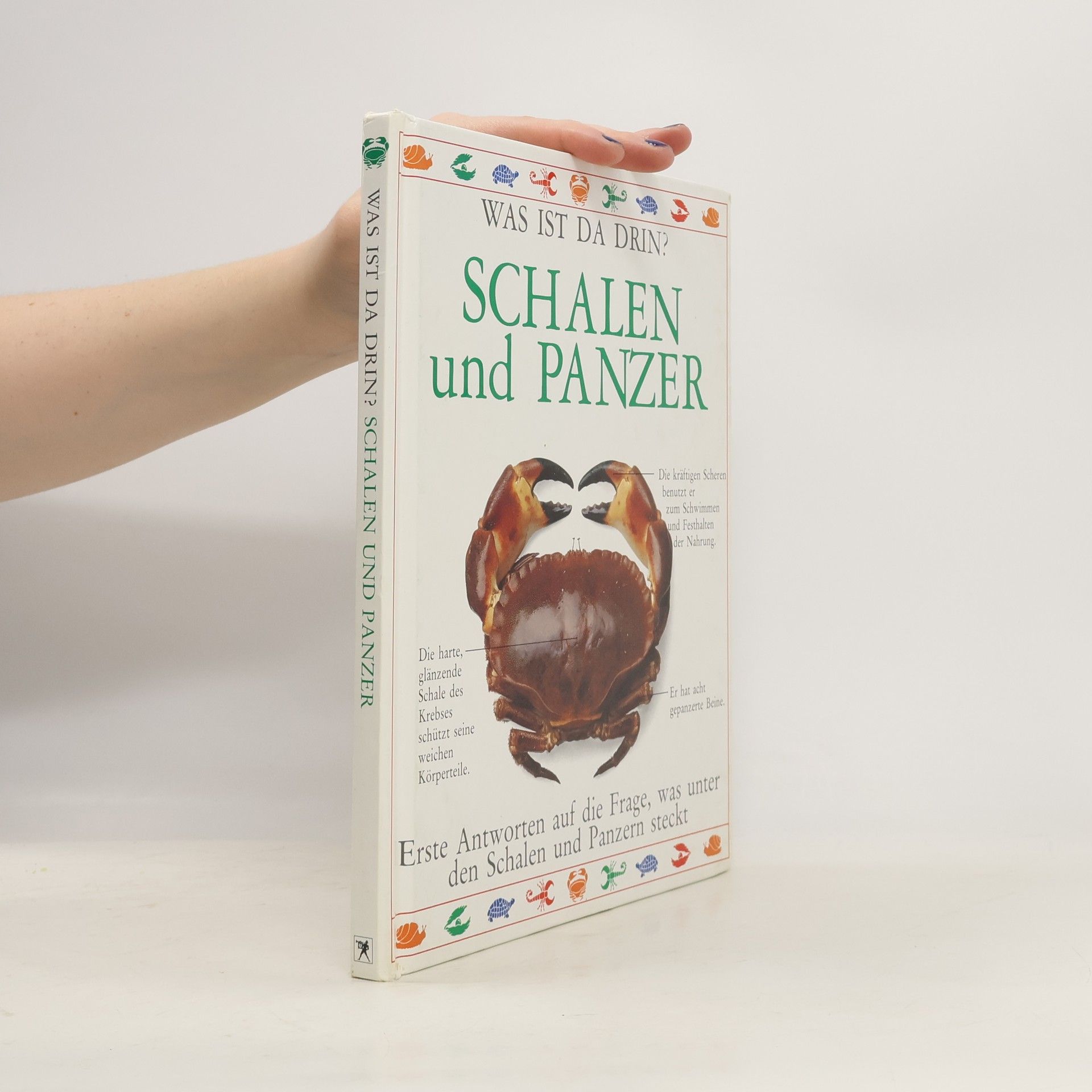 Autorenkollektiv Schalen und Panzer