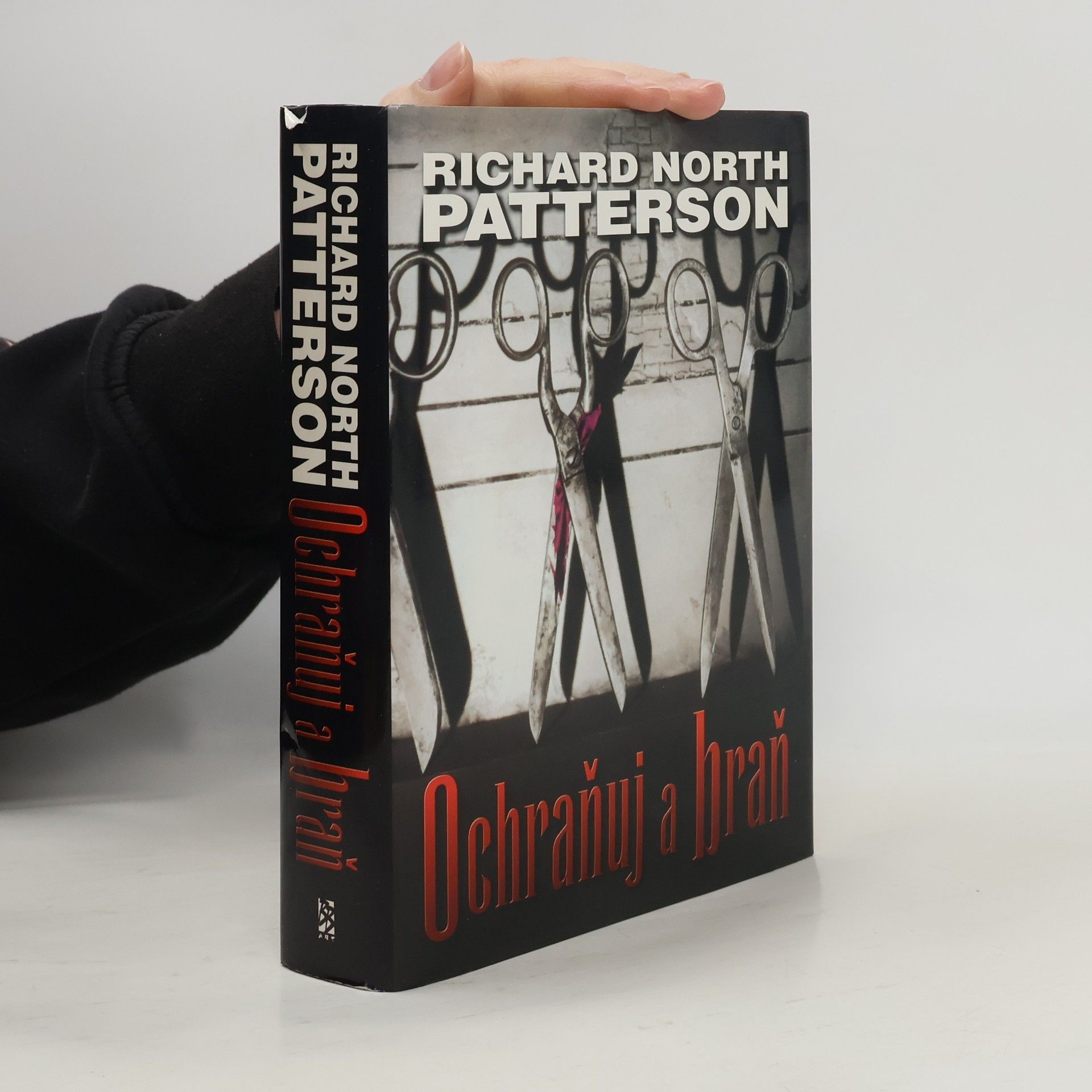 Richard North Patterson Ochraňuj a braň