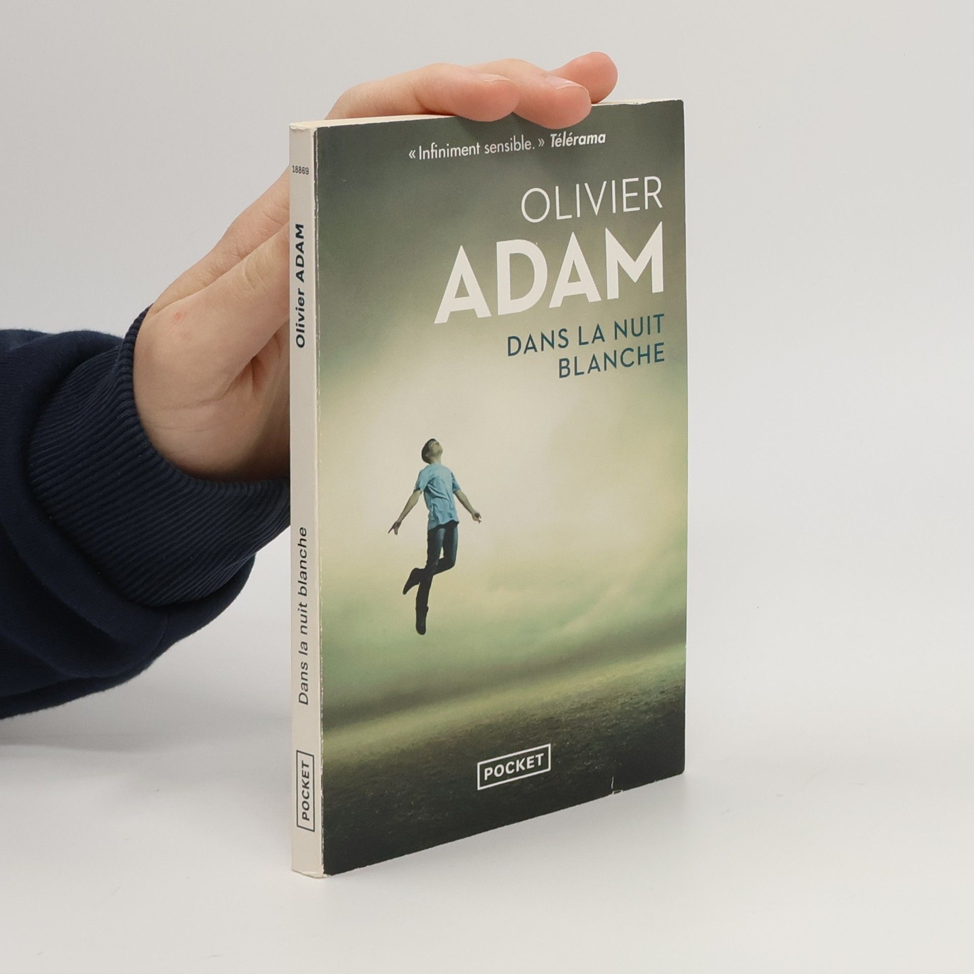 Olivier Adam Dans la nuit blanche