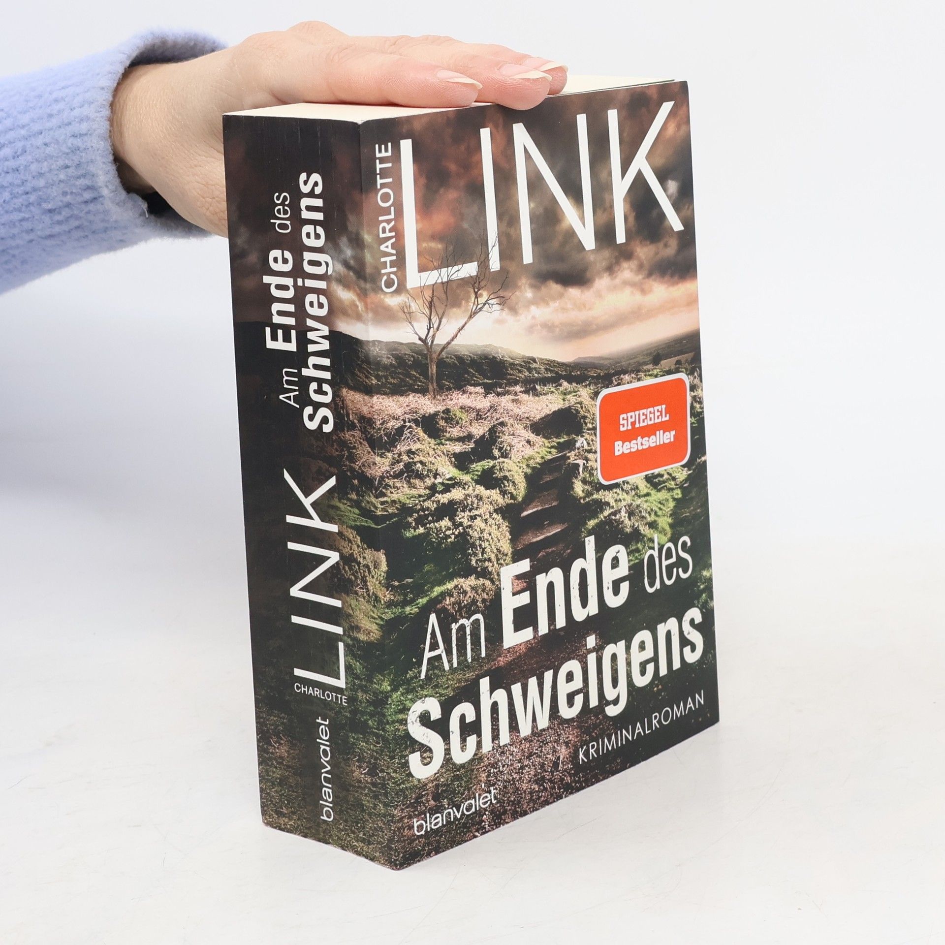 Charlotte Link Am Ende des Schweigens