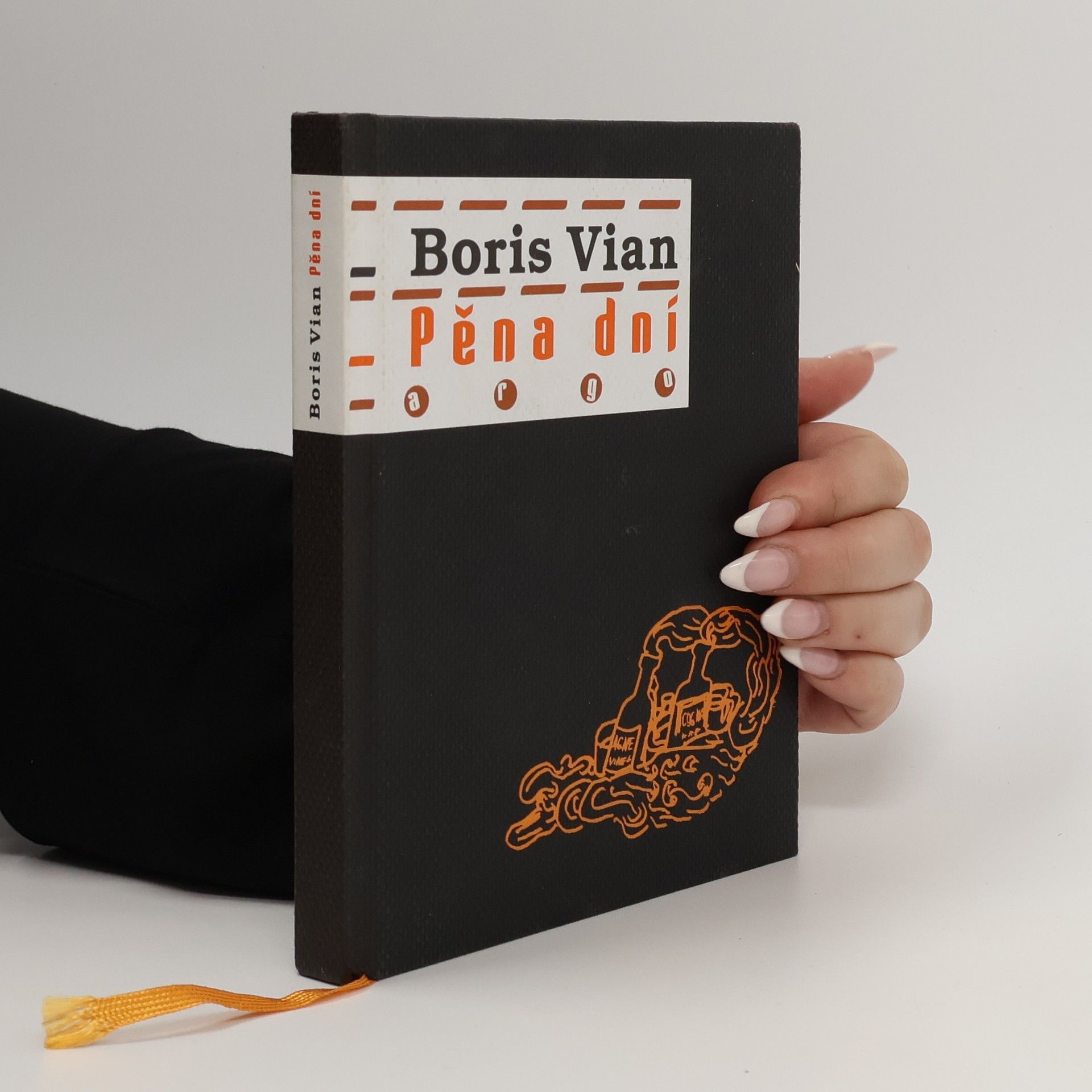 Boris Vian Pěna dní
