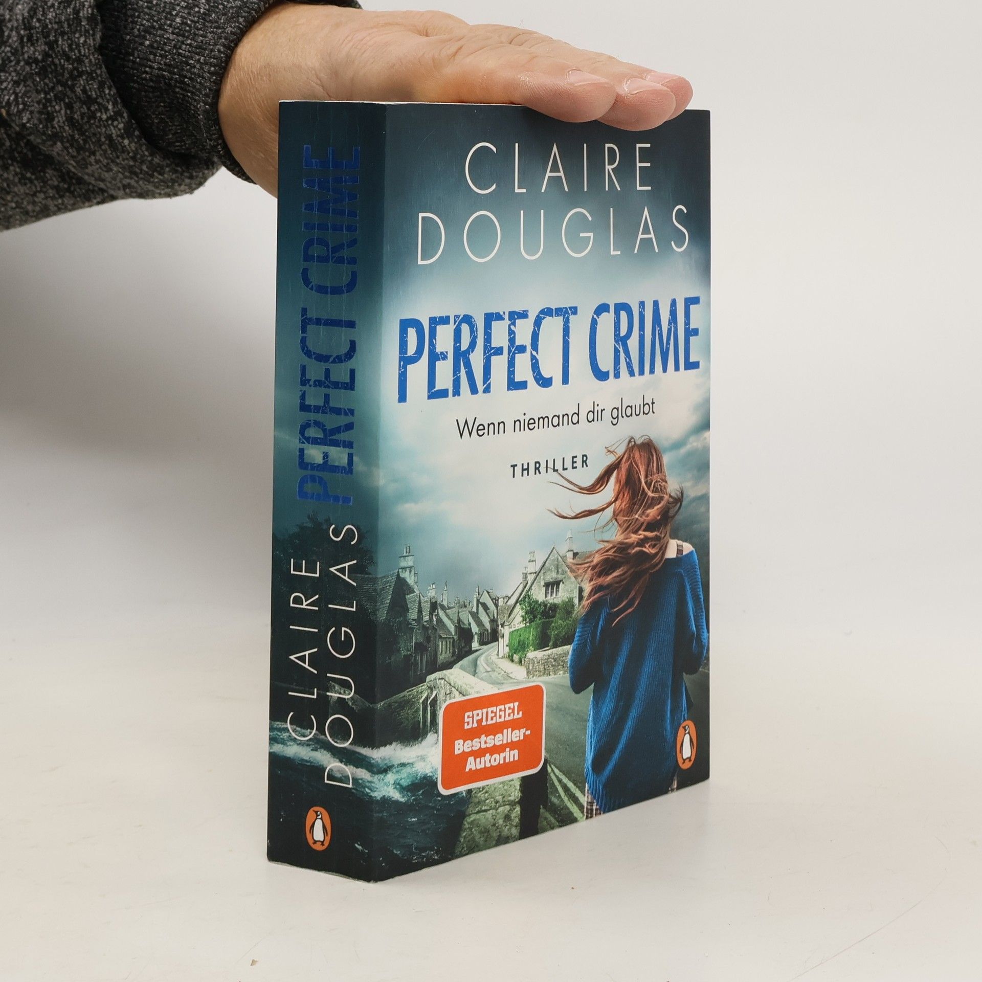 Claire Douglas Perfect Crime