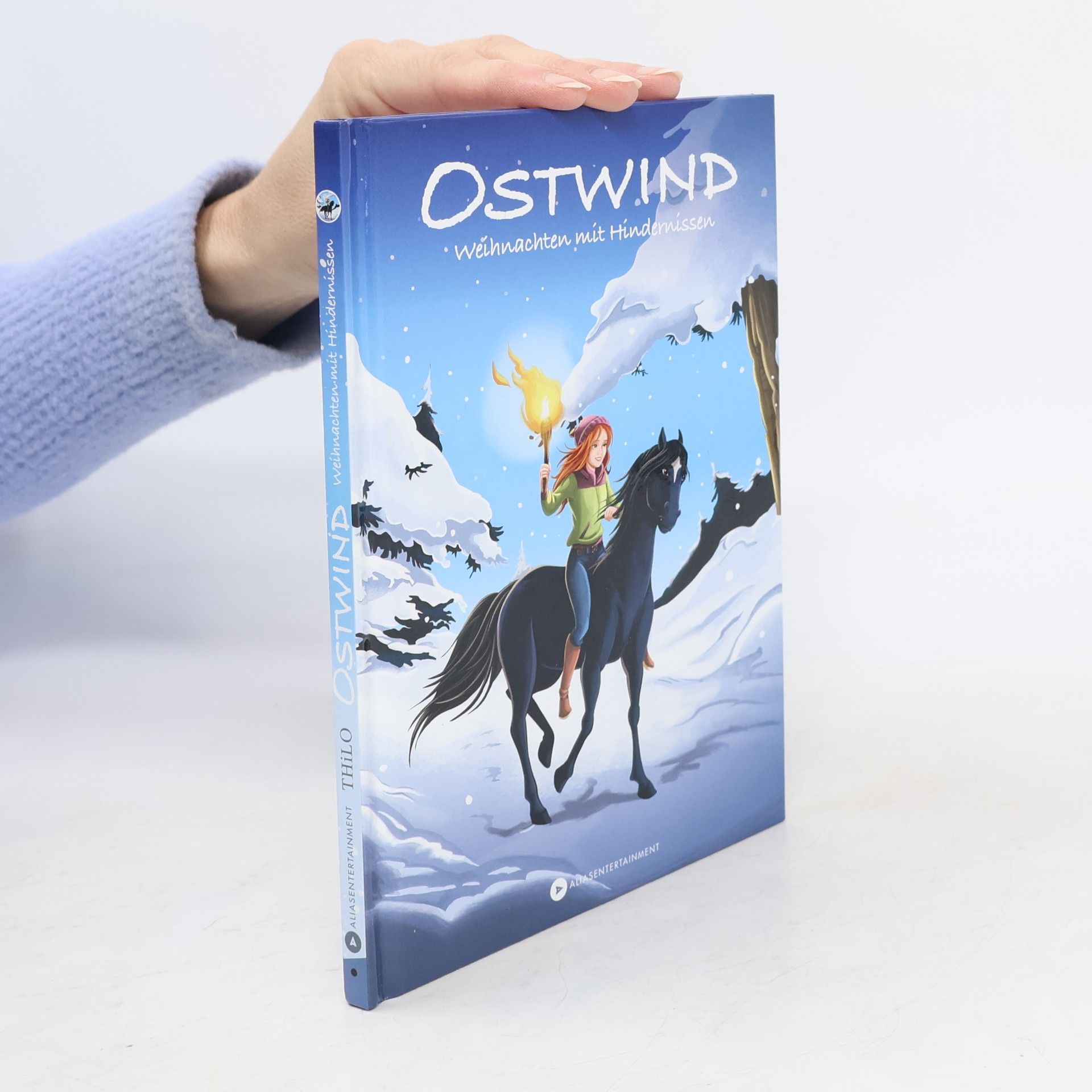 Thilo Petry-Lassak Ostwind - Weihnachten mit Hindernissen