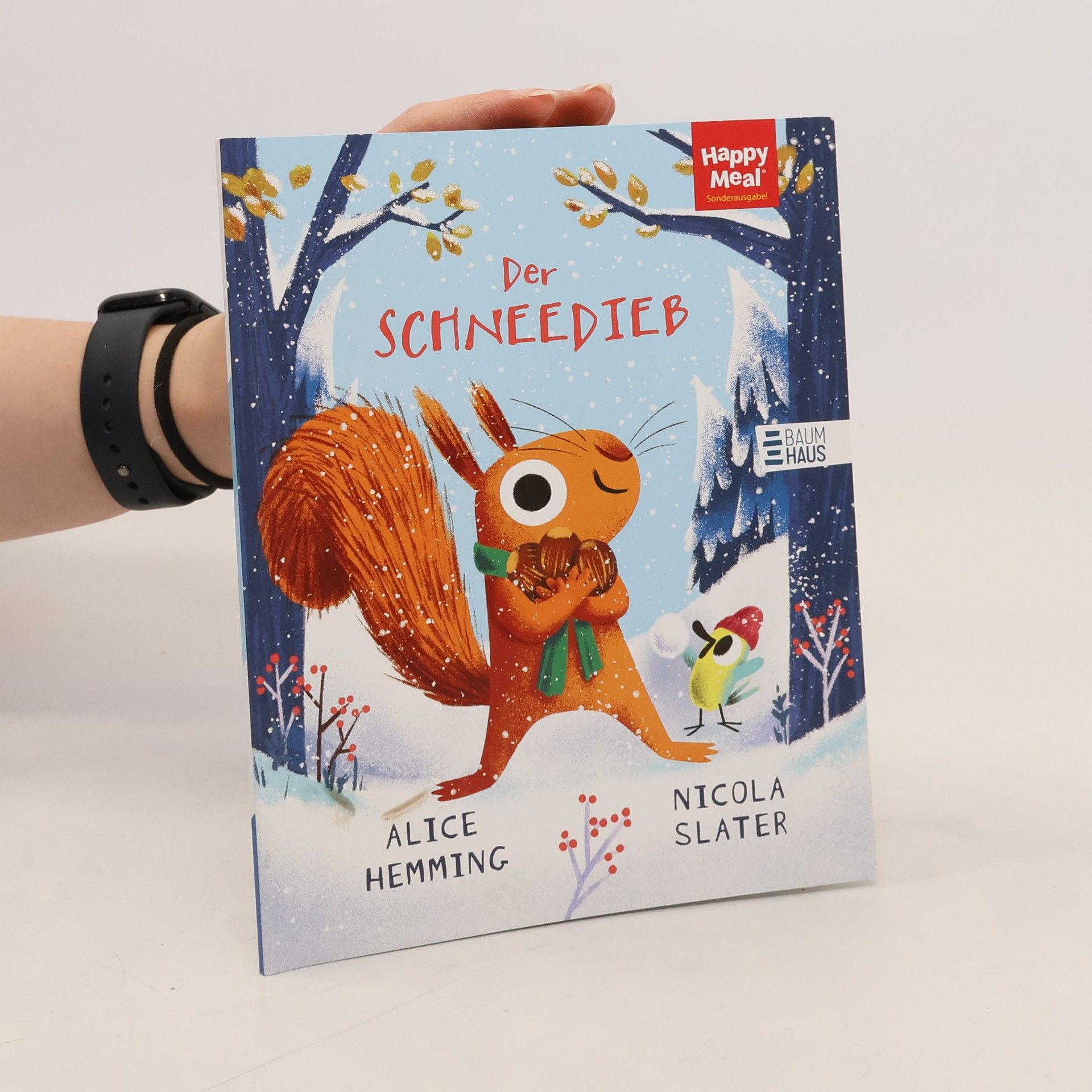 Alice Hemming Der Schneedieb