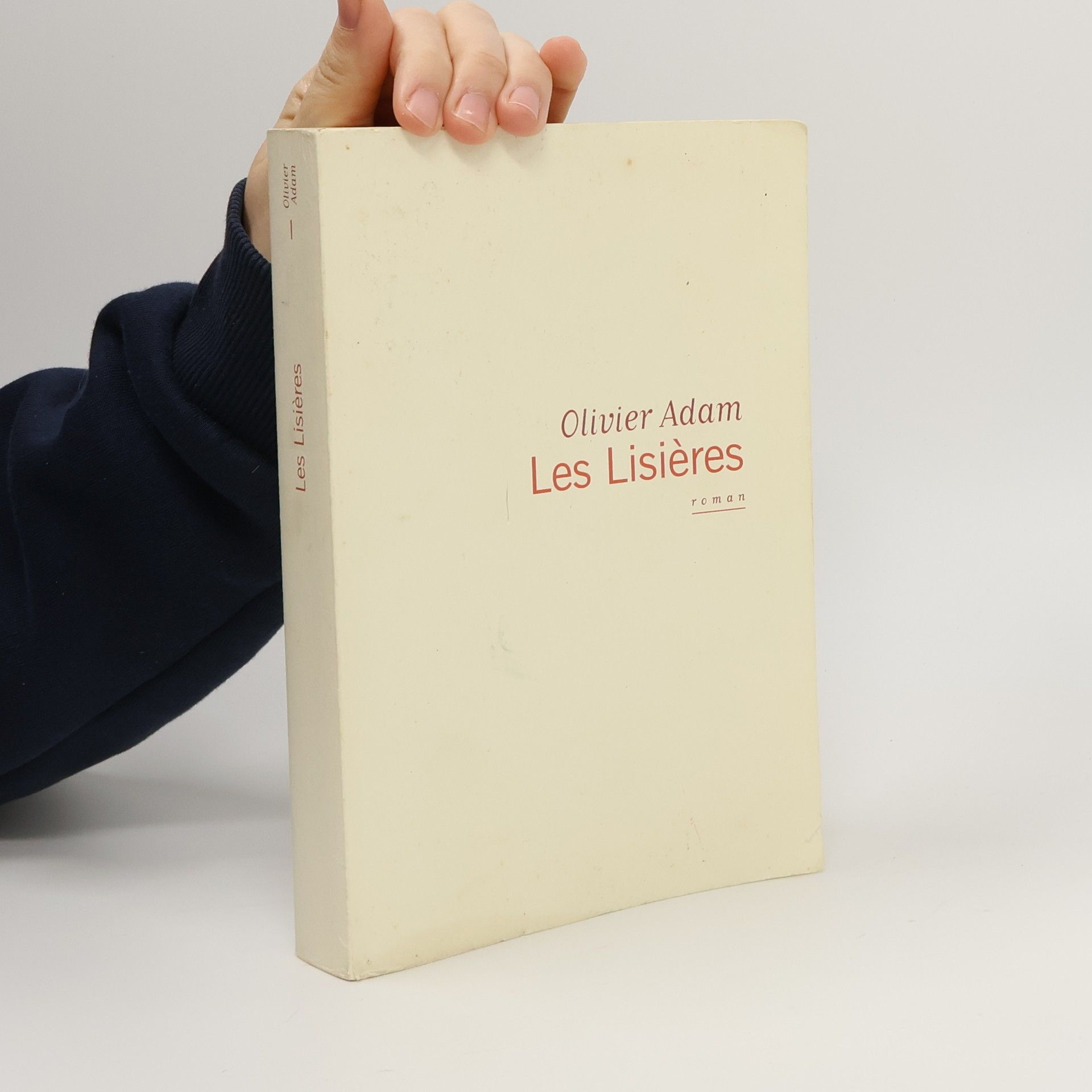 Olivier Adam Les Lisières