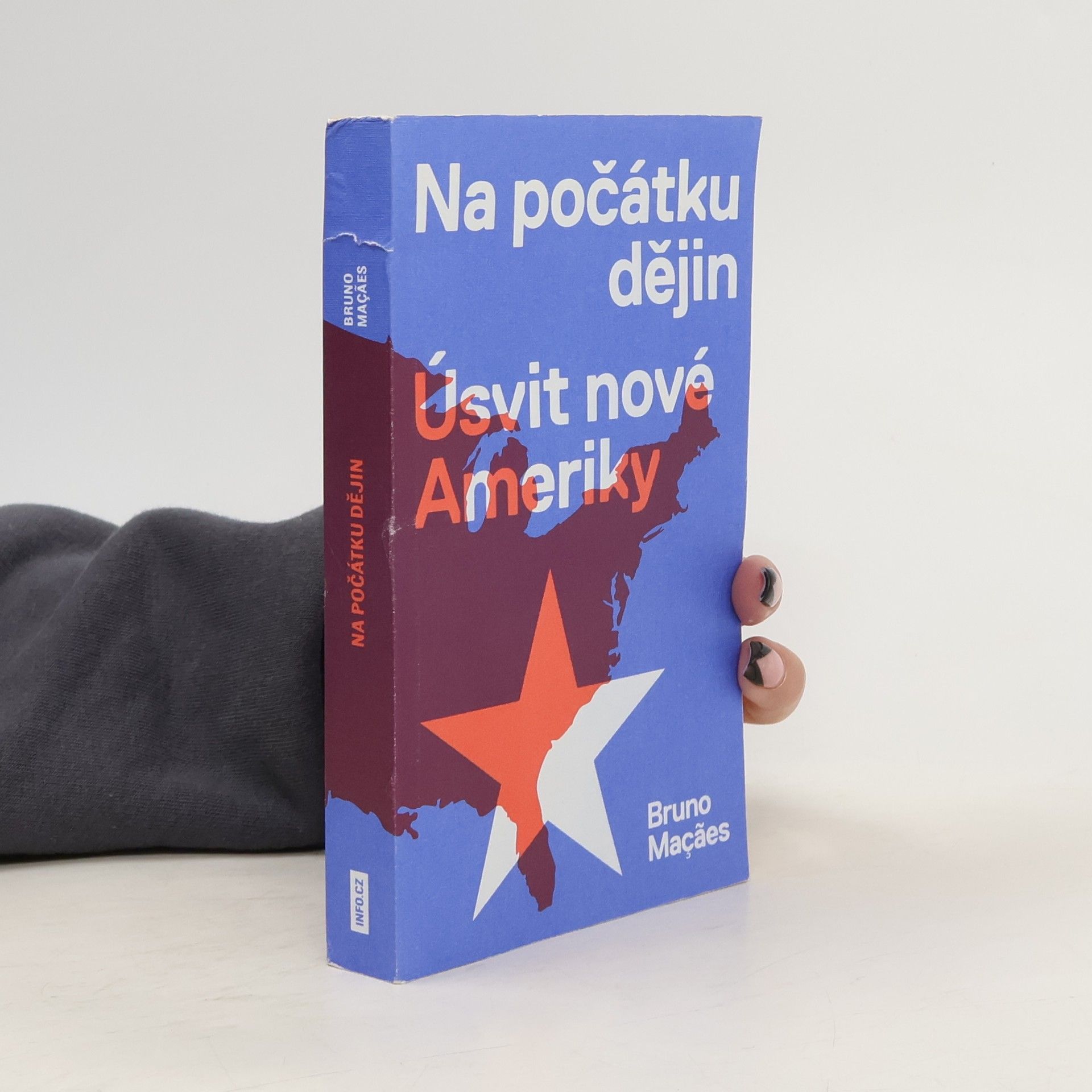 Na počátku dějin : úsvit nové Ameriky