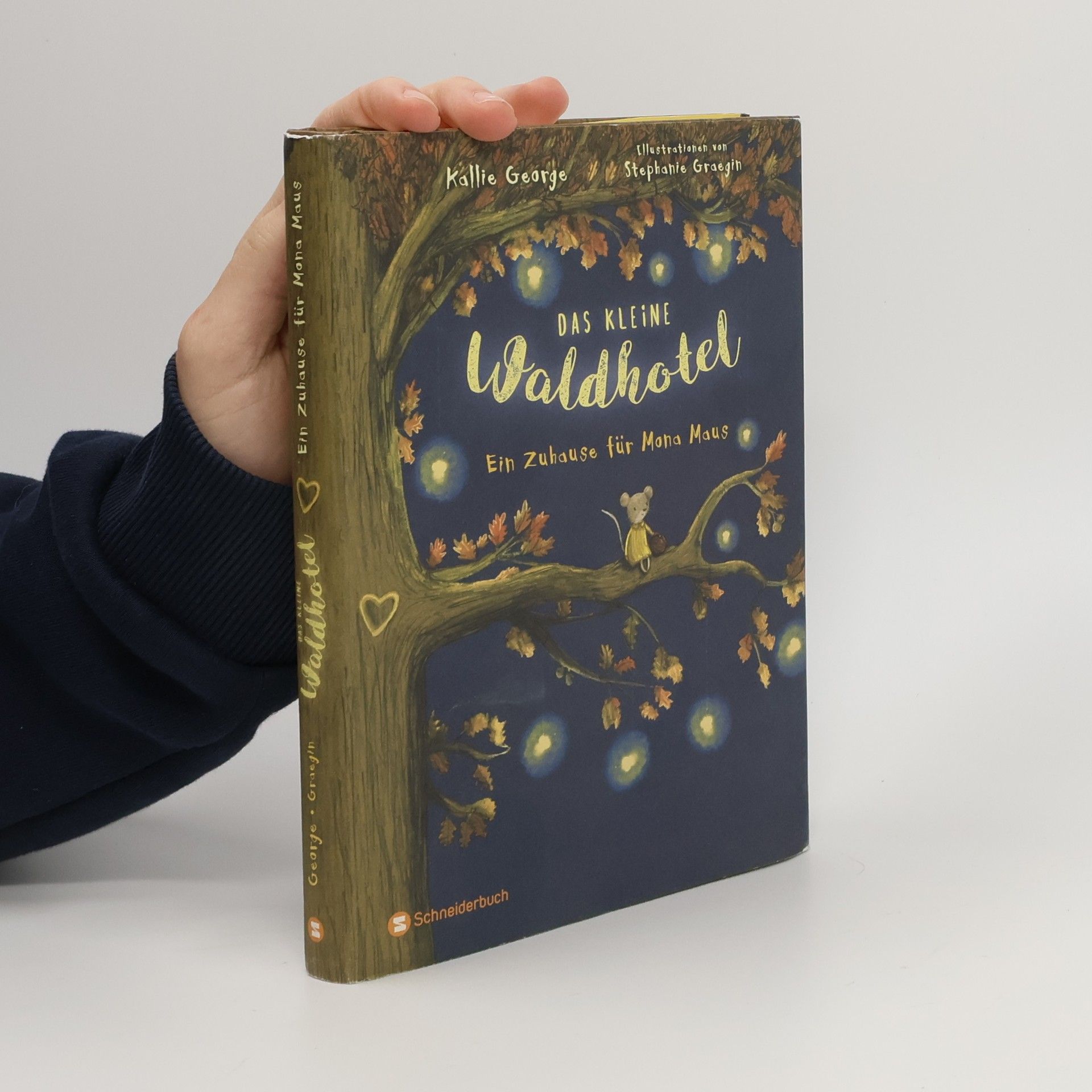 Kallie George Ein Zuhause für Mona Maus