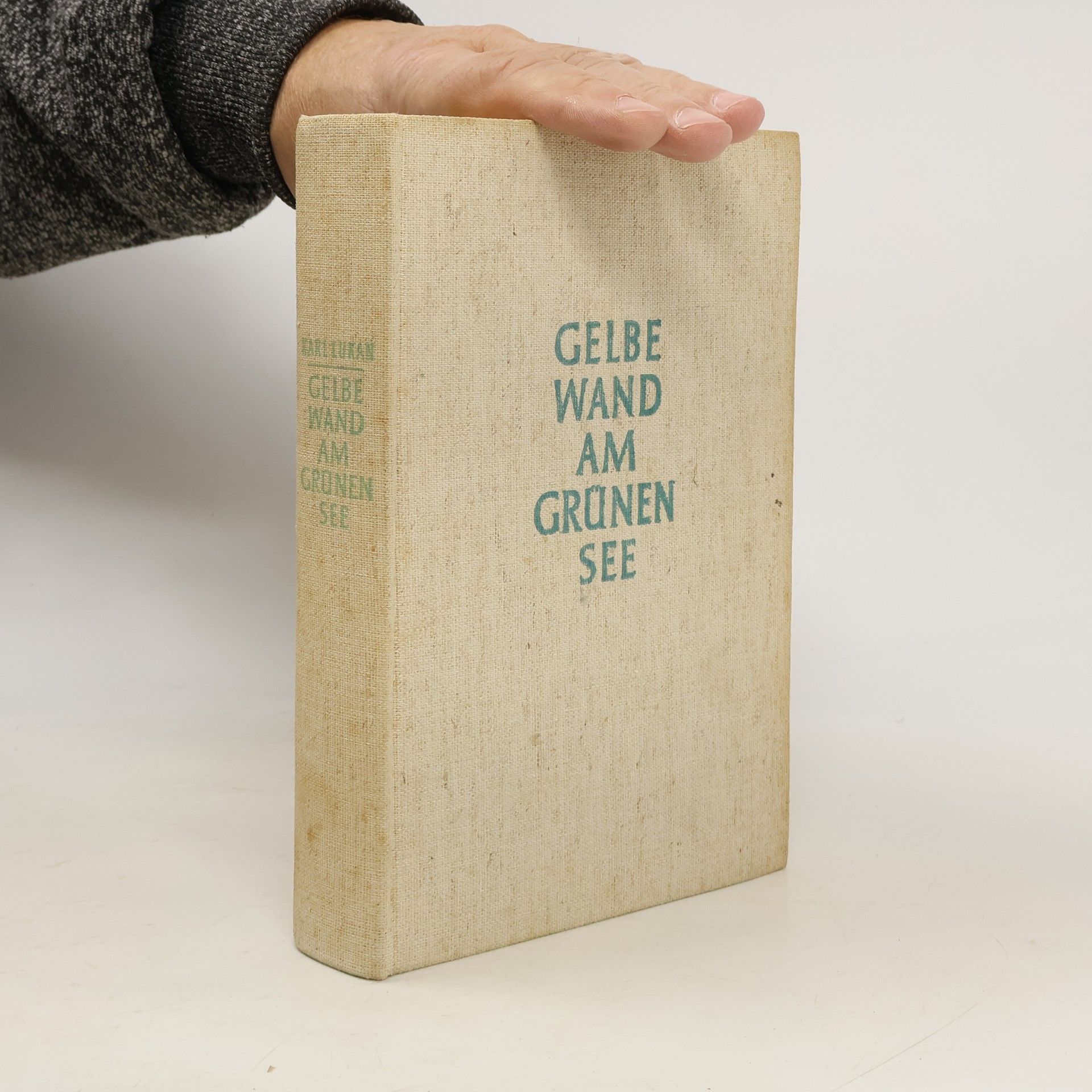 Karl Lukan Gelbe Wand am grünen See