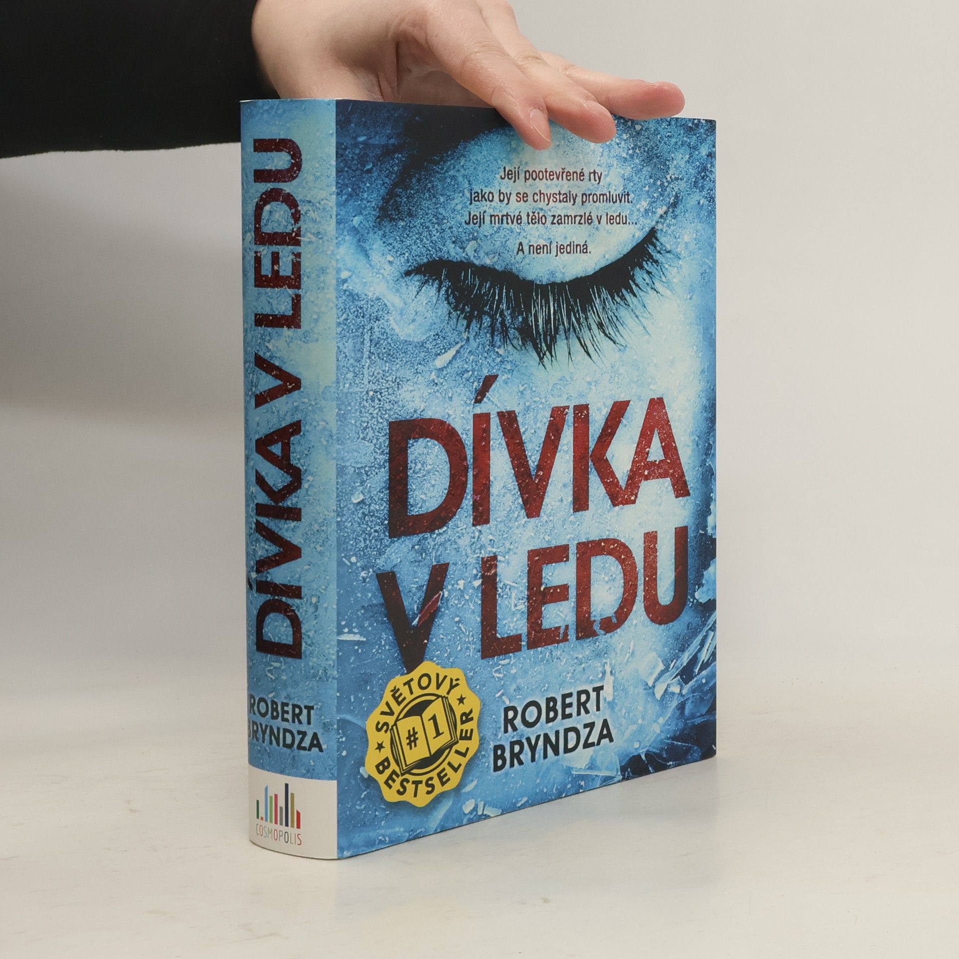 Robert Bryndza Dívka v ledu