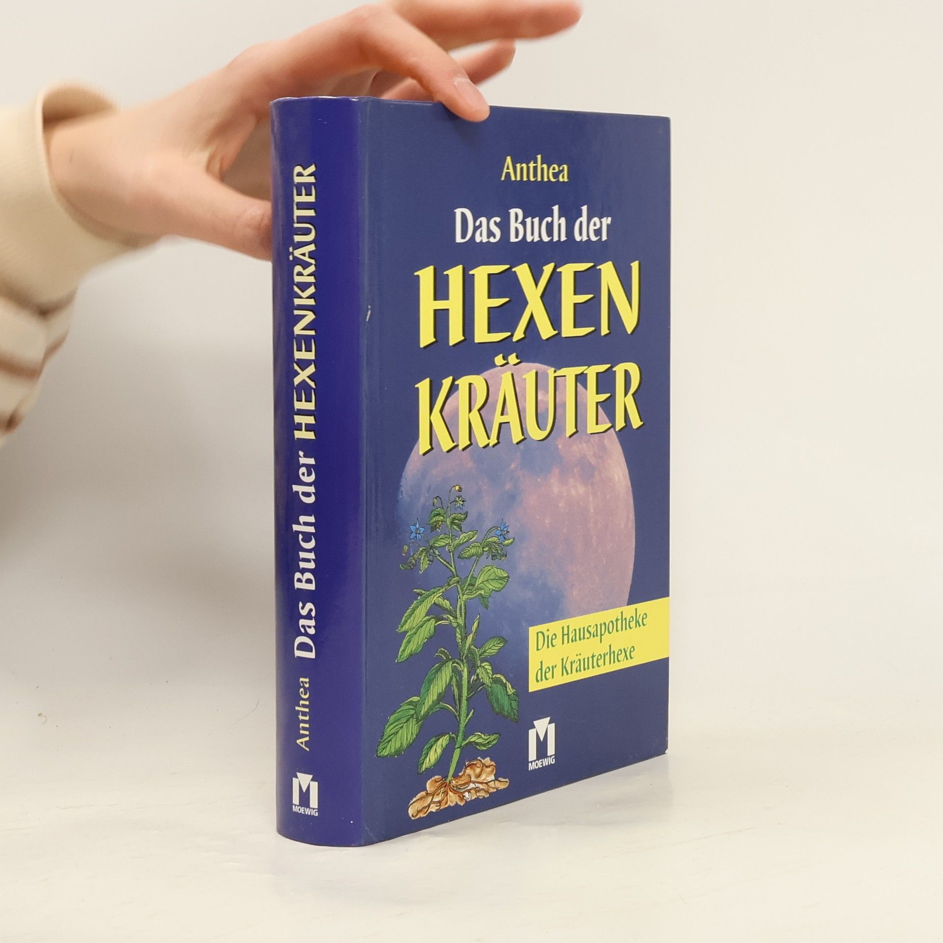 Anthea Das Buch der Hexen-Kräuter